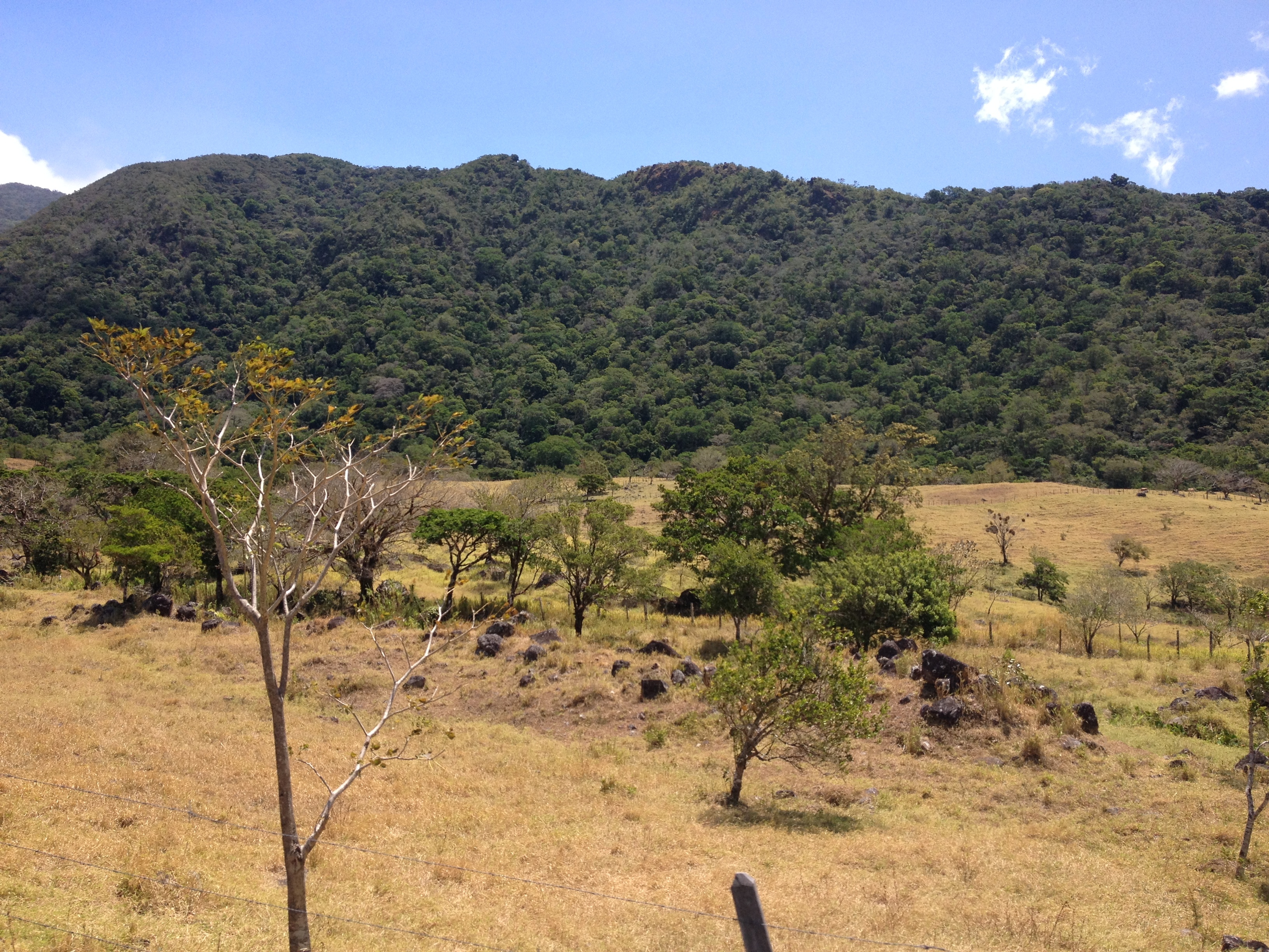 รูปถ่าย ปานามา(Panama) จากดาบิดไปโบกัสเดลโตโร(David to Bocas del toro) 2015-03 122