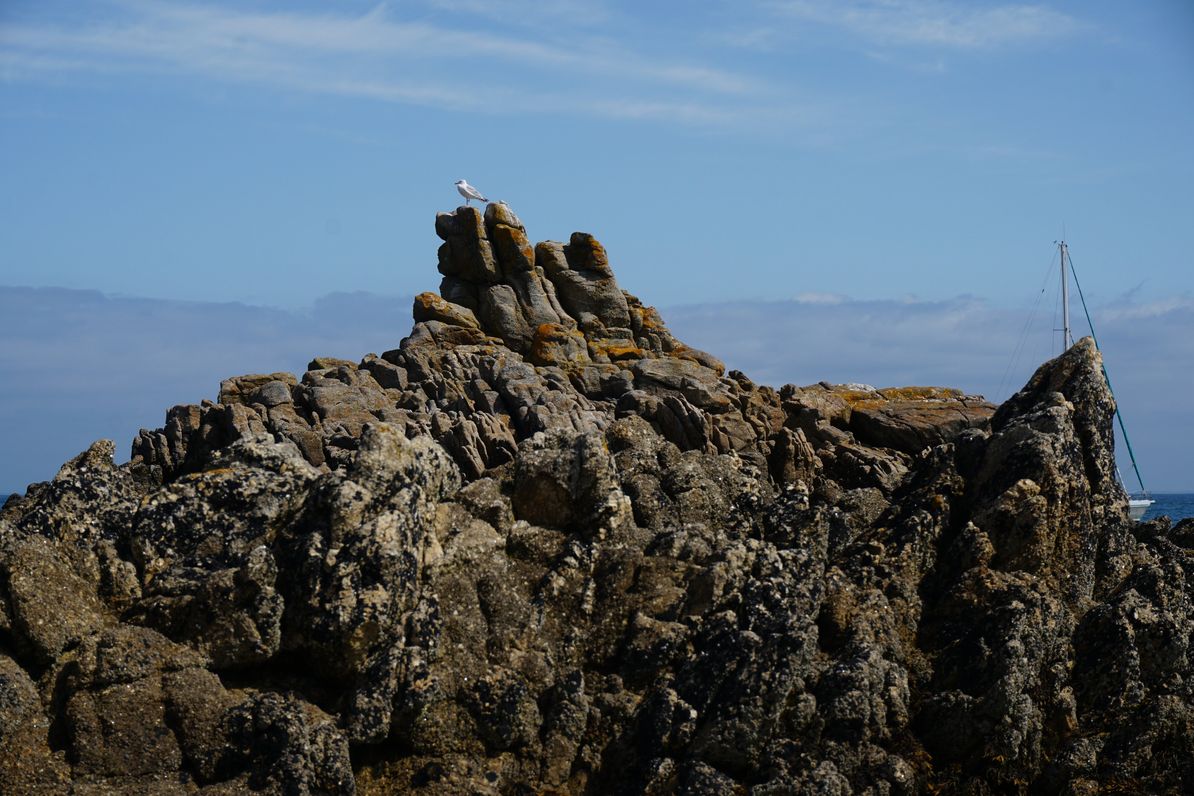 รูปถ่าย ฝรั่งเศส(France) เกาะเอดิก(Hoedic) 2016-08 24