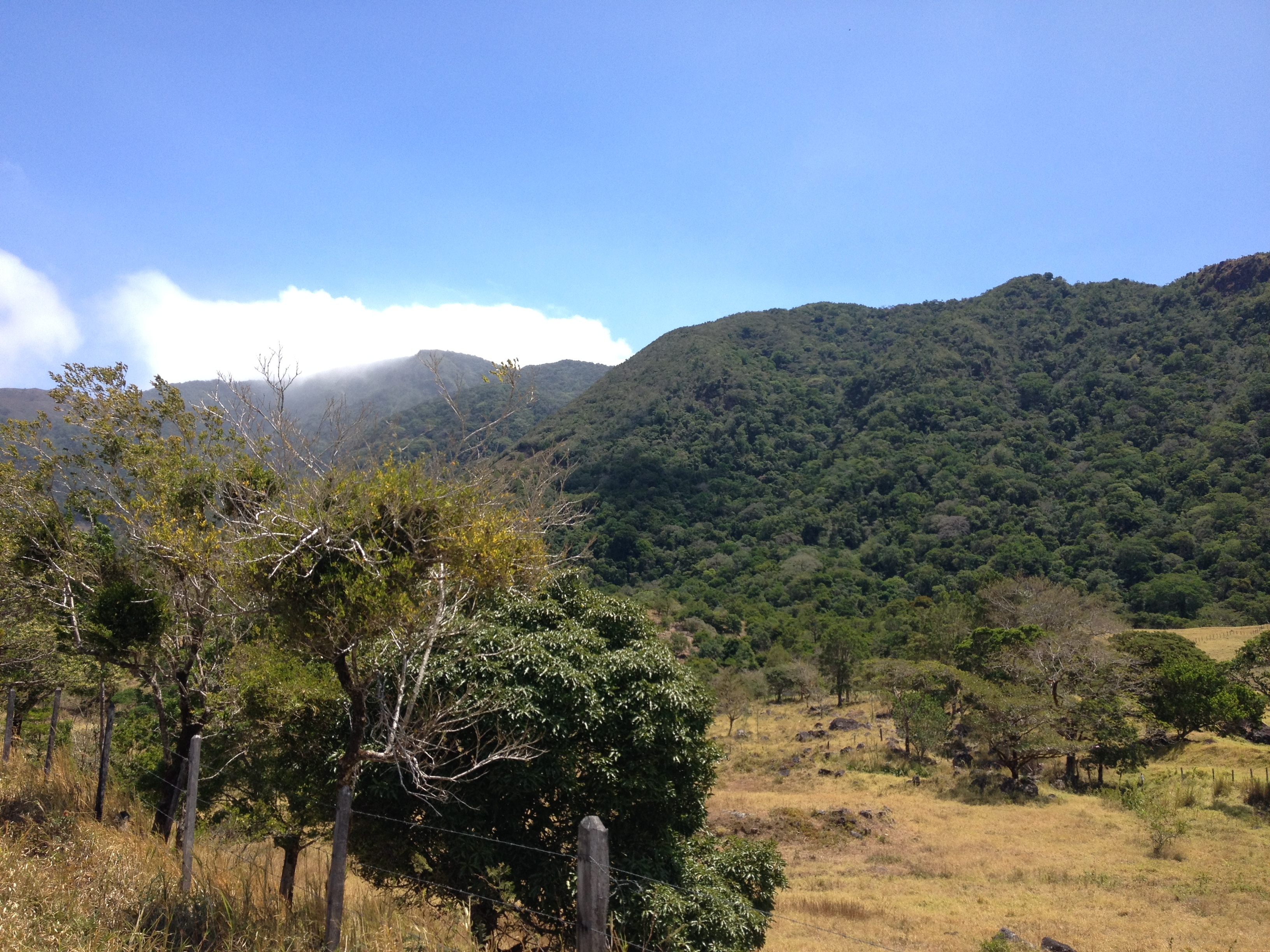 รูปถ่าย ปานามา(Panama) จากดาบิดไปโบกัสเดลโตโร(David to Bocas del toro) 2015-03 112