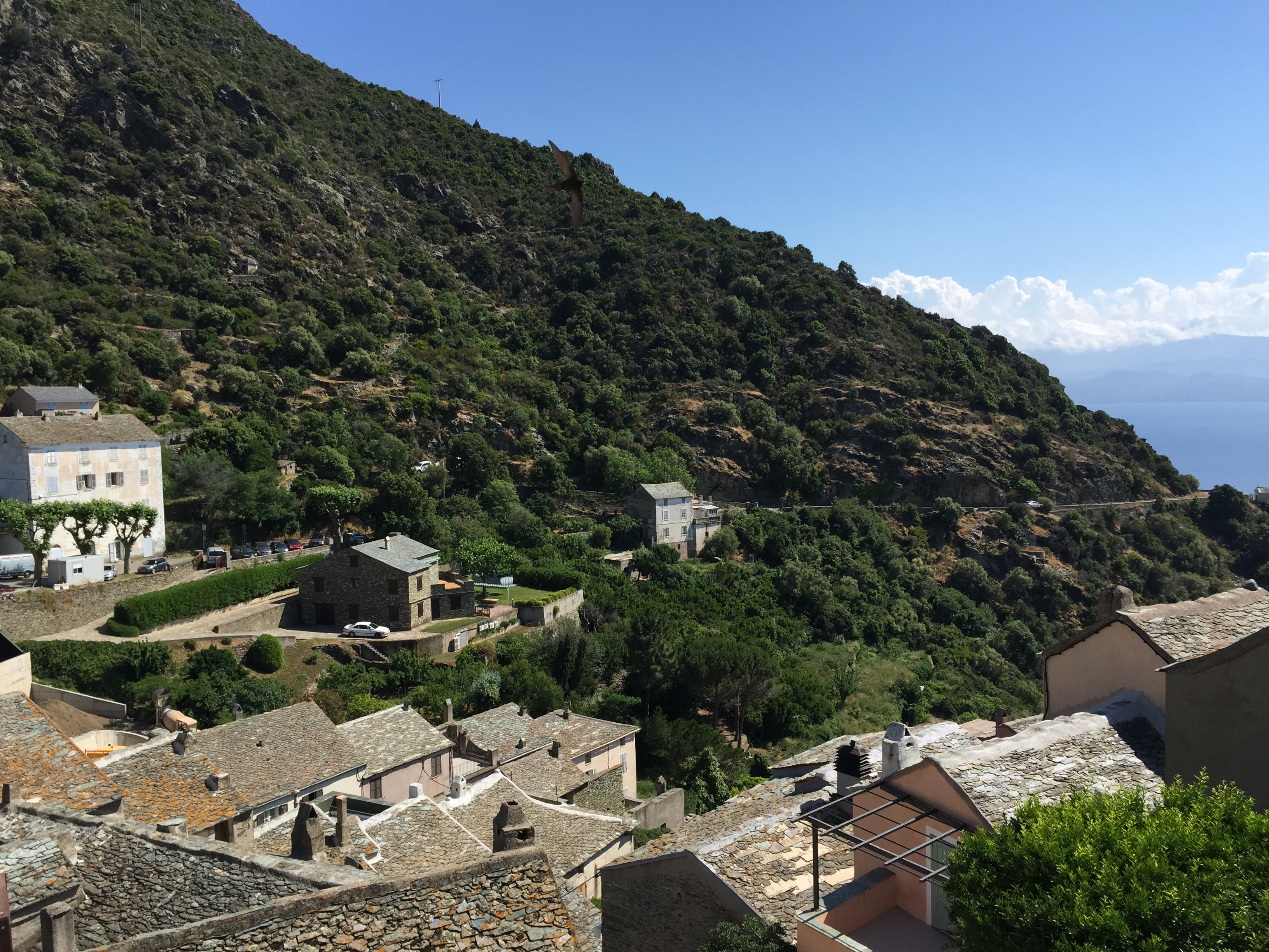 รูปถ่าย ฝรั่งเศส(France) คอร์สิคา(Corsica) นอนซา(Nonza) 2015-05 7