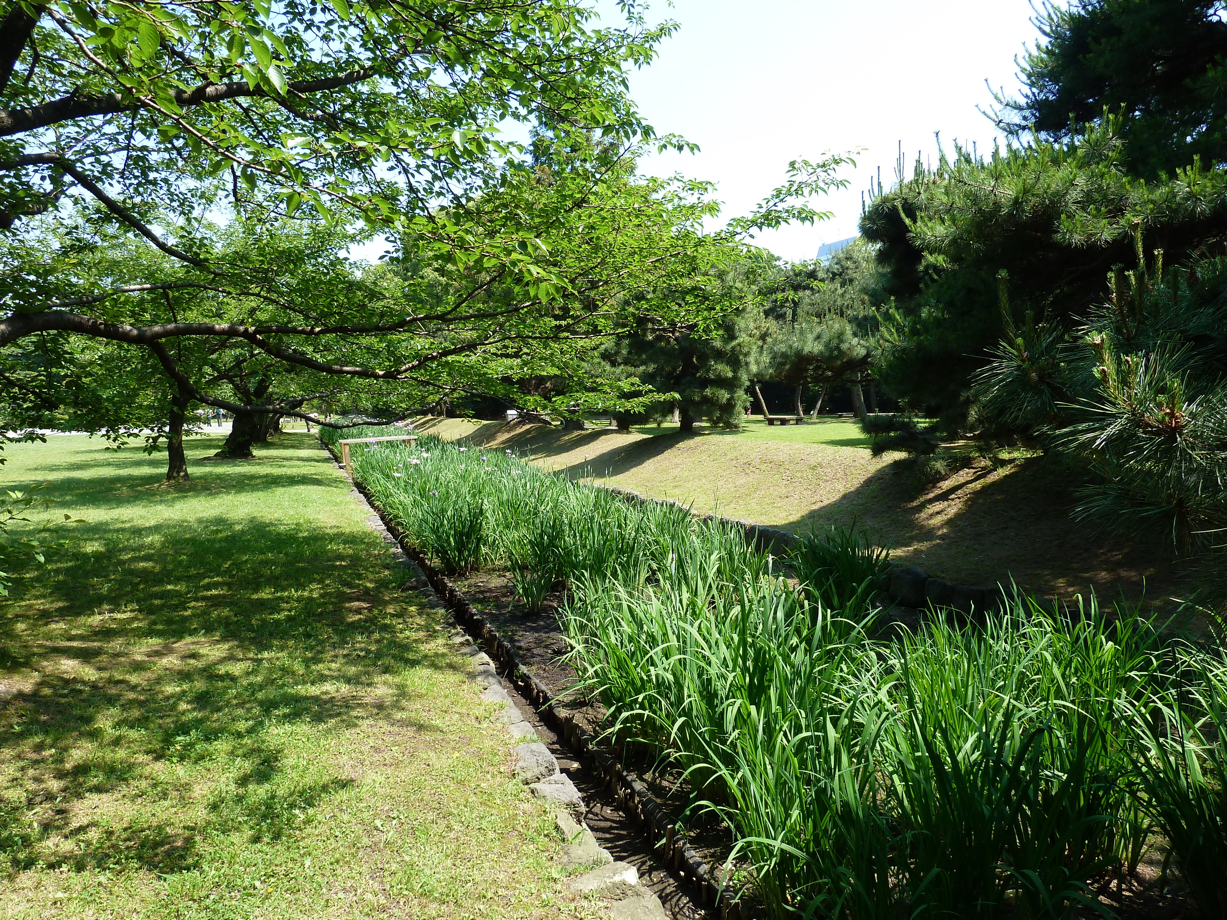 รูปถ่าย ญี่ปุ่น(Japan) โตเกียว(Tokyo) สวนฮามะริคิว(Hama rikyu Gardens) 2010-06 74