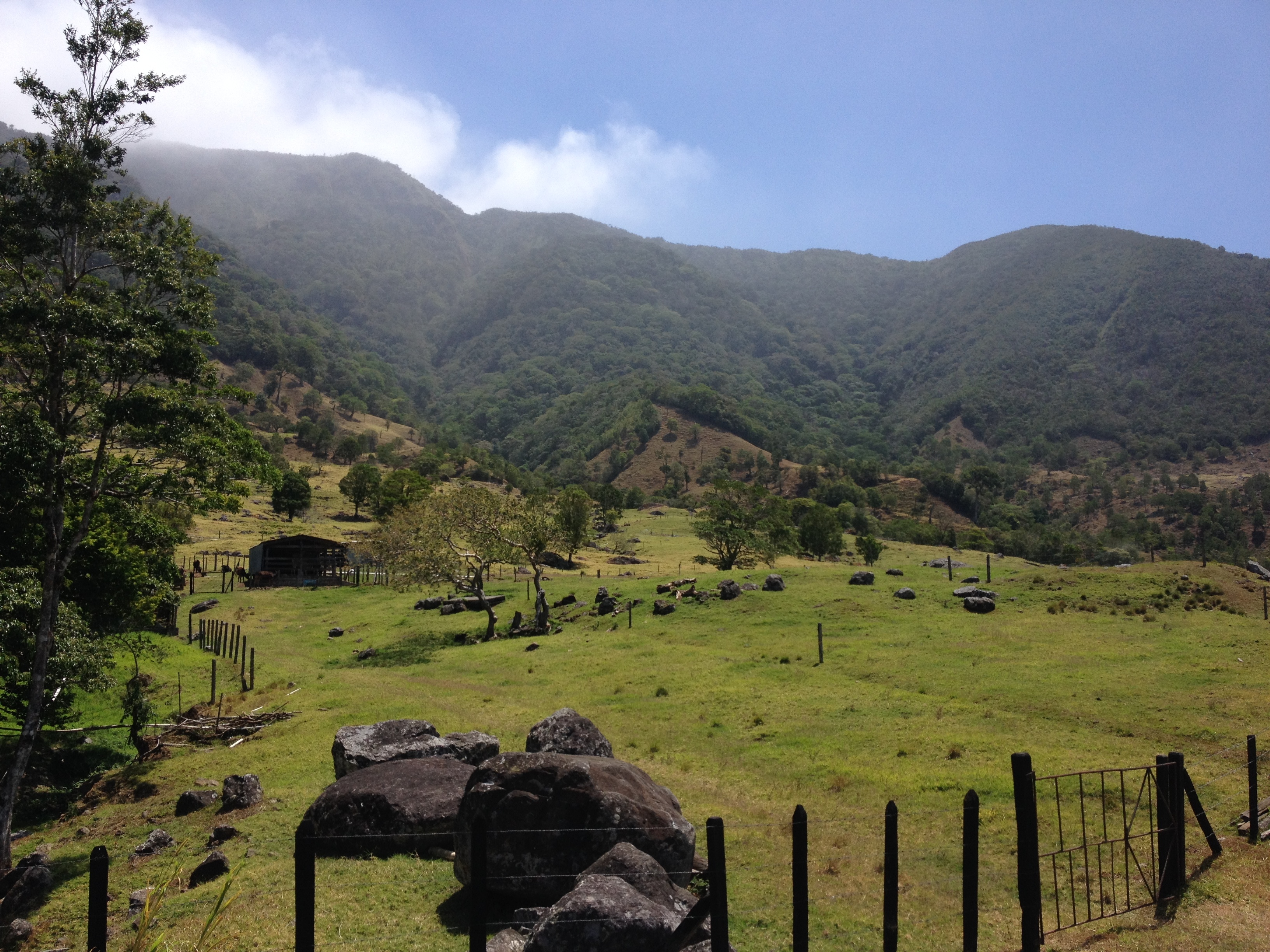 รูปถ่าย ปานามา(Panama) จากดาบิดไปโบกัสเดลโตโร(David to Bocas del toro) 2015-03 98