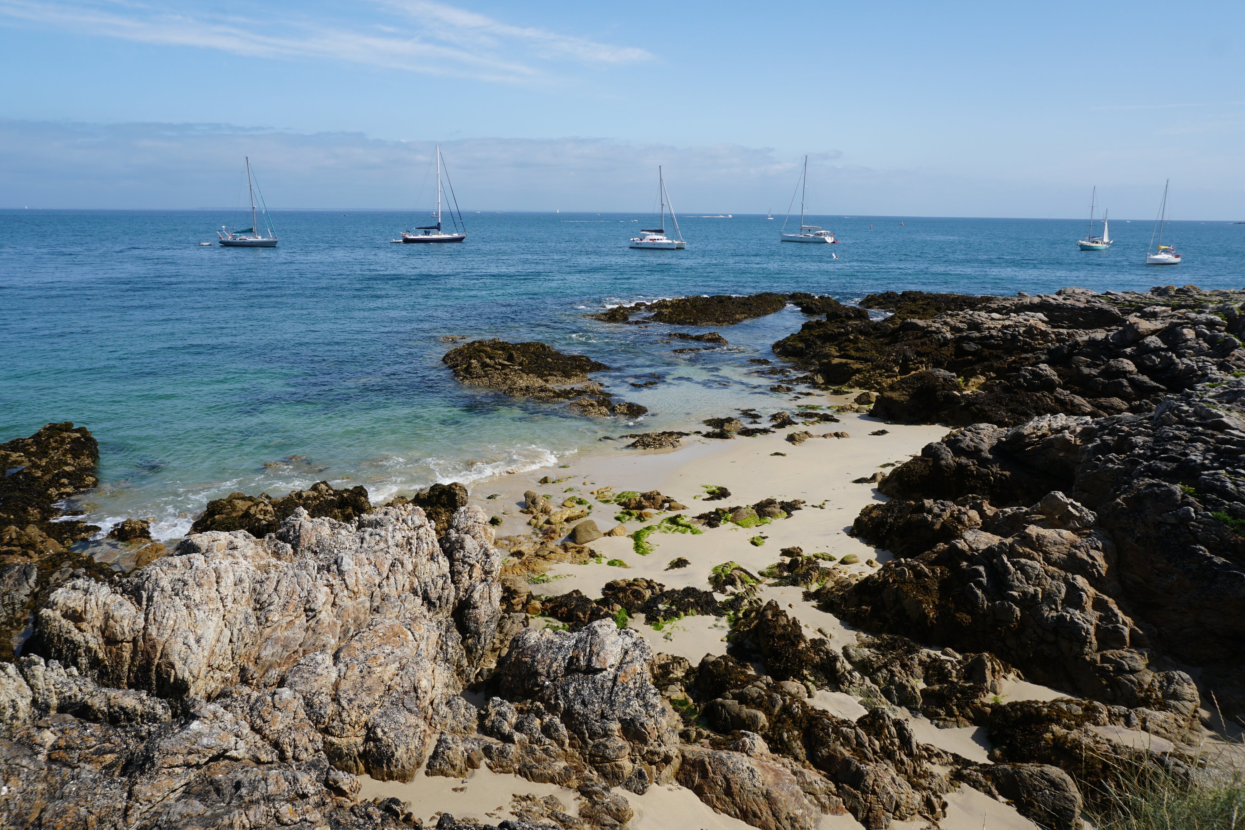 รูปถ่าย ฝรั่งเศส(France) เกาะเอดิก(Hoedic) 2016-08 15