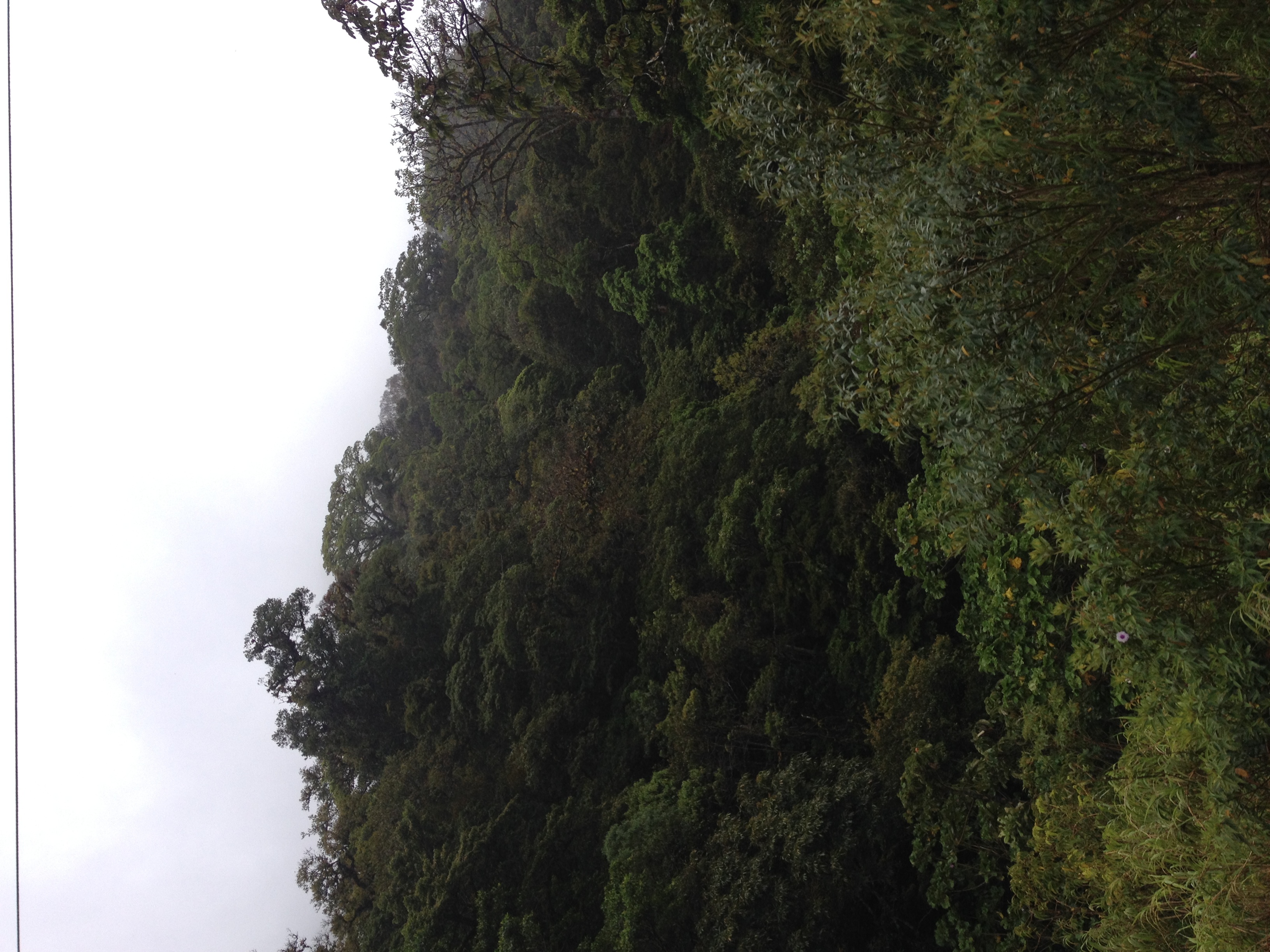รูปถ่าย ปานามา(Panama) จากดาบิดไปโบกัสเดลโตโร(David to Bocas del toro) 2015-03 99
