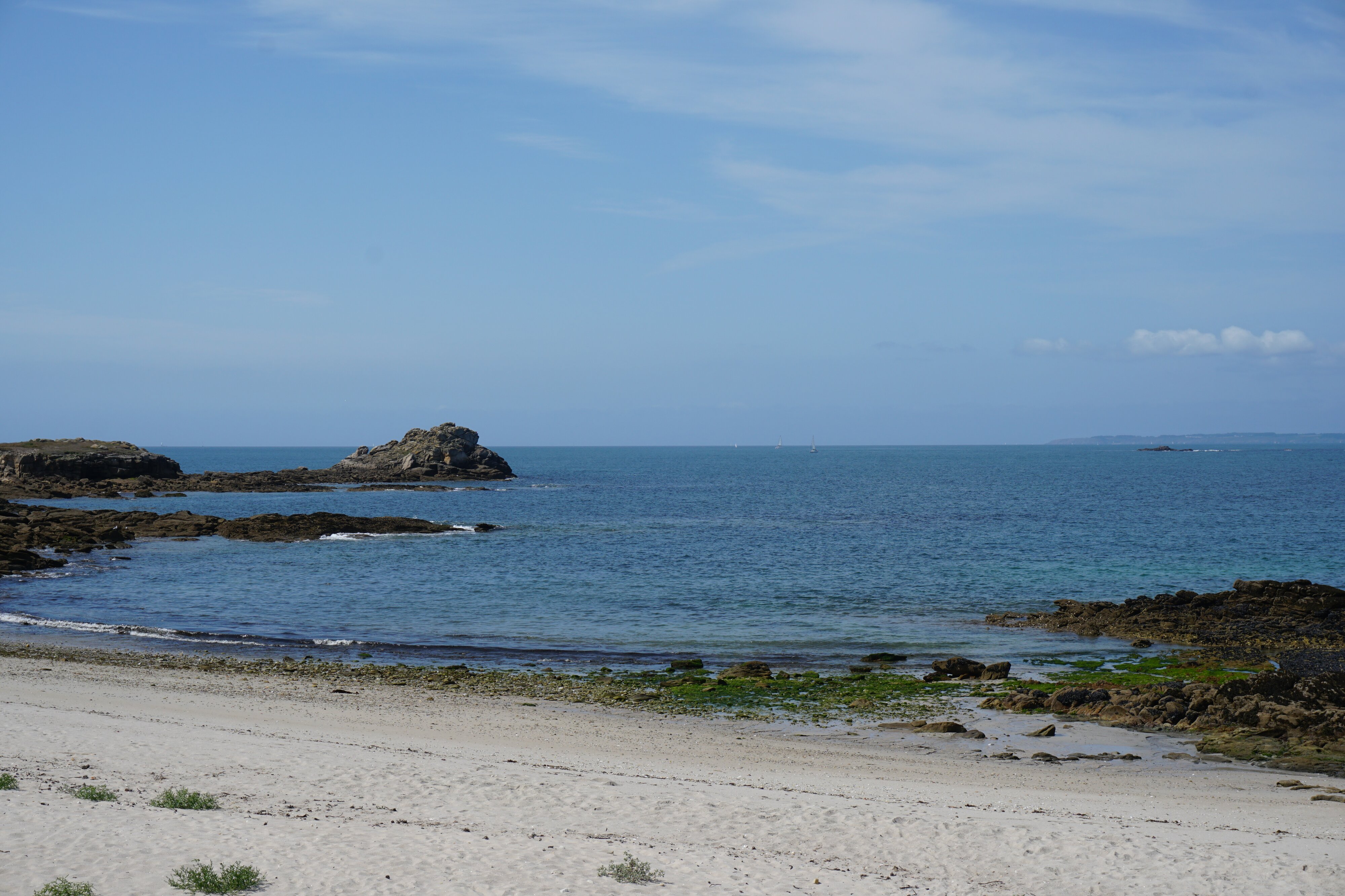 รูปถ่าย ฝรั่งเศส(France) เกาะเอดิก(Hoedic) 2016-08 96