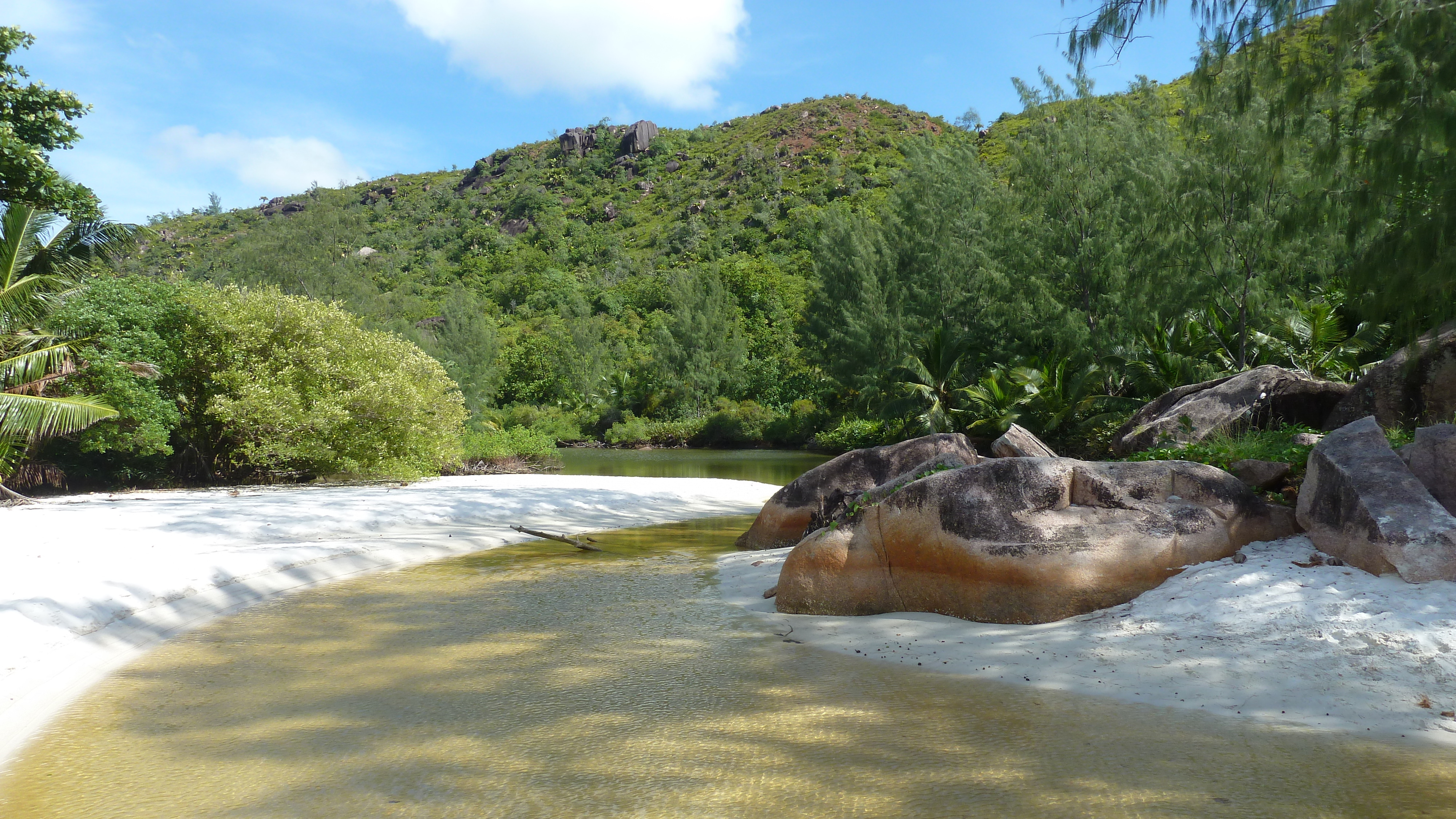 รูปถ่าย เซเชลส์(Seychelles) อ่าวอ็องส์ลาซิโอ(Anse Lazio) 2011-10 103