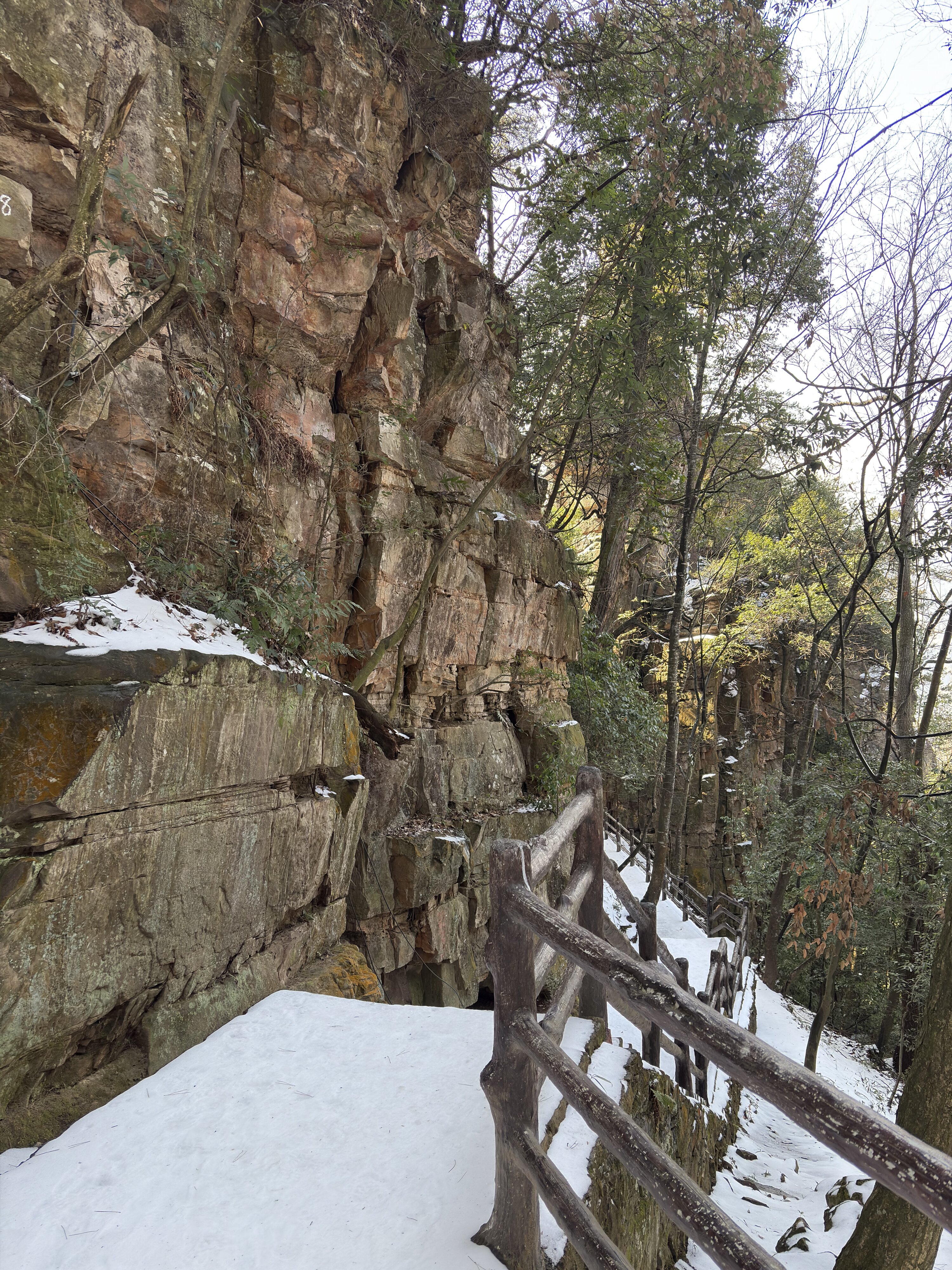 รูปถ่าย จีน(China) จางเจียเจี้ย(Zhangjiajie) ภูเขาเทียนจื่อ(Tianzi Mountain) 2026-01 373