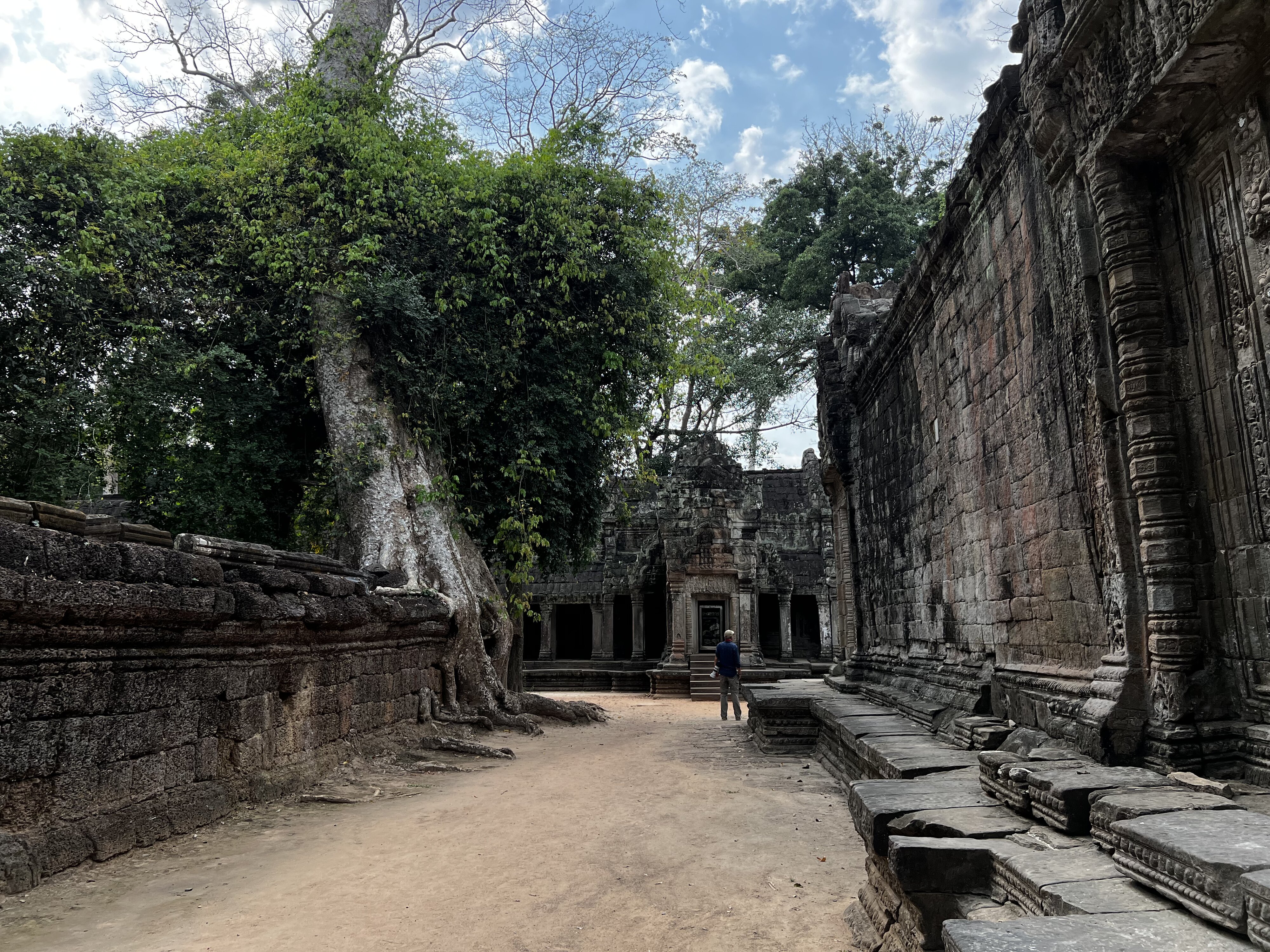 รูปถ่าย กัมพูชา(Cambodia) เสียมราฐ(Siem Reap) ปราสาทตาพรหม(Ta Prohm) 2023-01 41