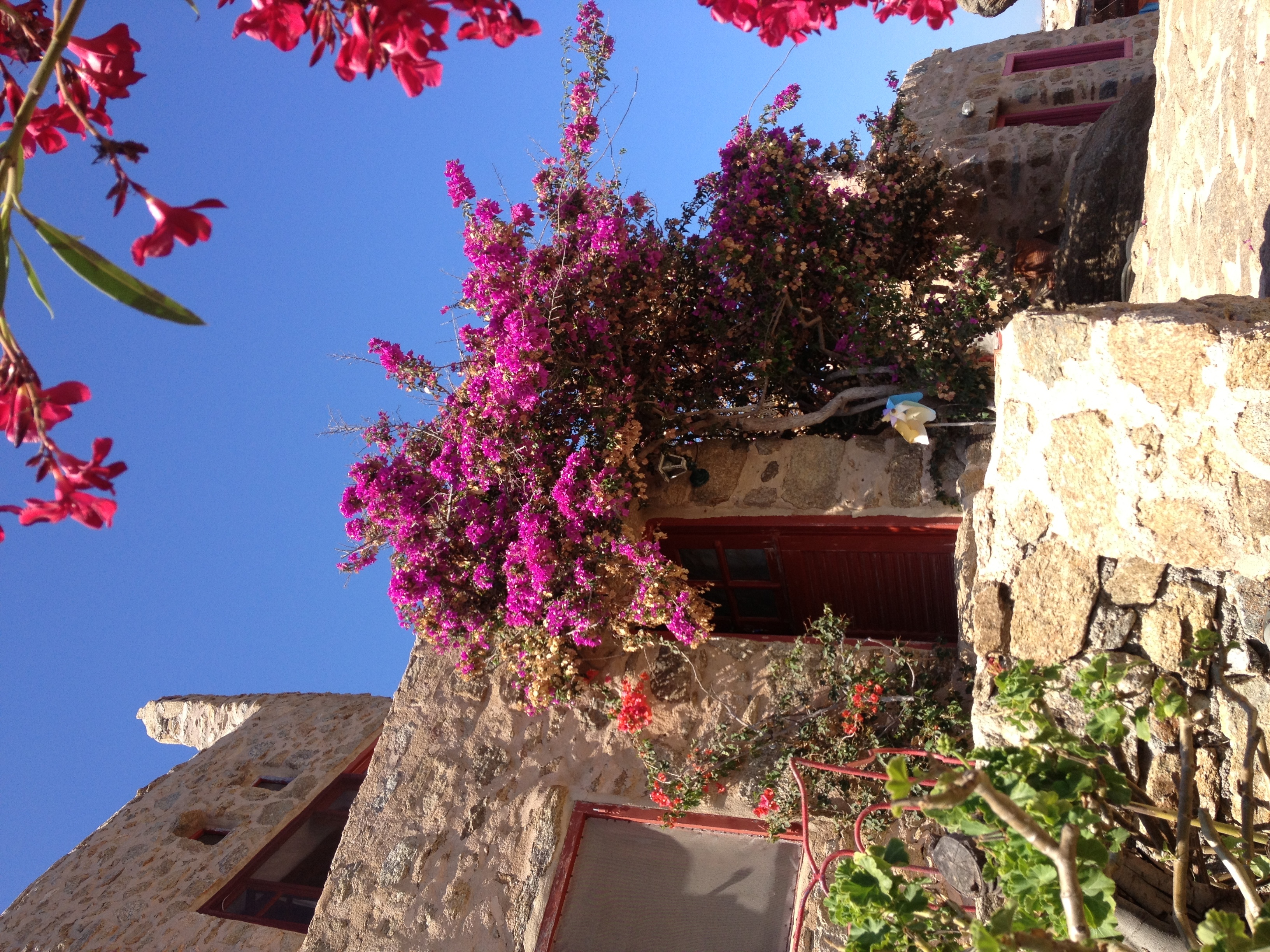 รูปถ่าย กรีก(Greece) เกาะมิโคนอส(Mykonos) 2014-07 363