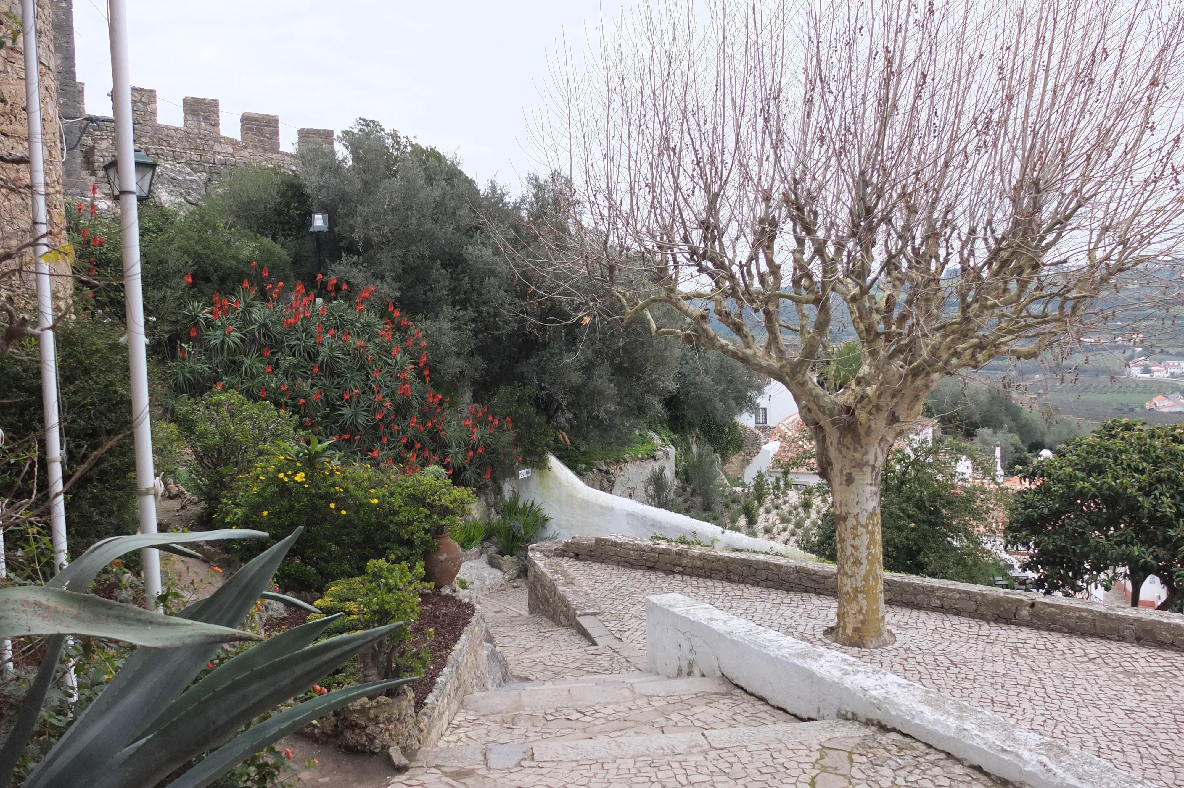 รูปถ่าย โปรตุเกส(Portugal) โอบีโดส(Obidos) 2013-01 1