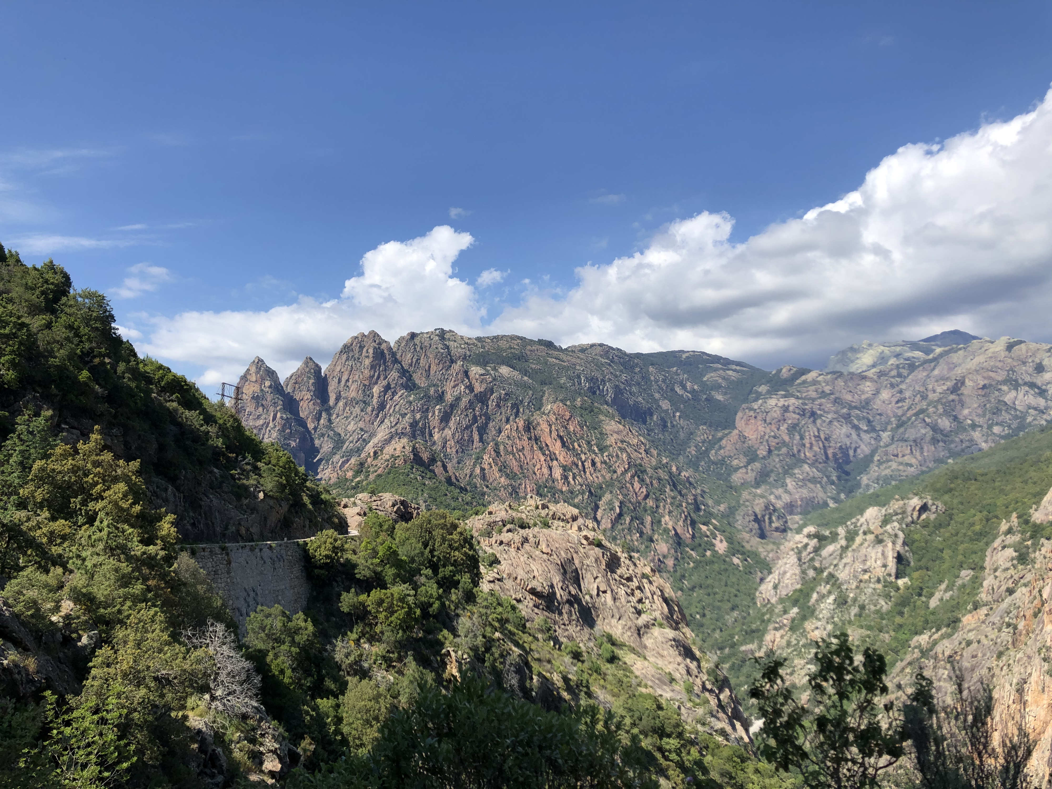 รูปถ่าย ฝรั่งเศส(France) คอร์สิคา(Corsica) ป่าไอโตเน(Aitone Forest) 2021-06 9