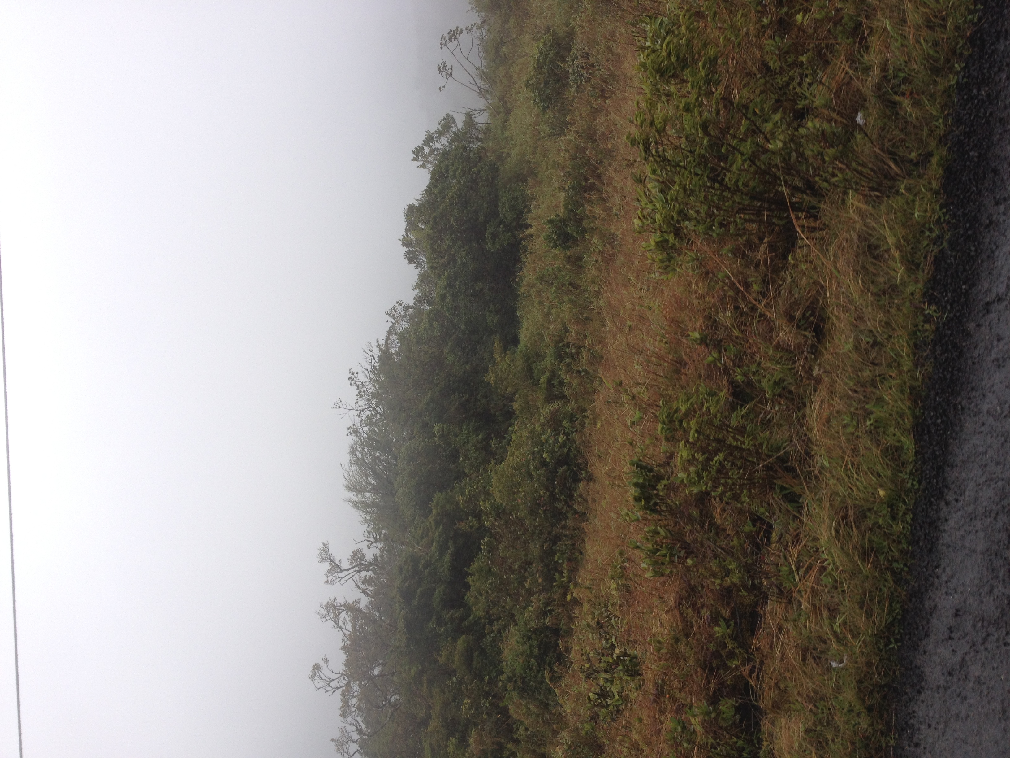 รูปถ่าย ปานามา(Panama) จากดาบิดไปโบกัสเดลโตโร(David to Bocas del toro) 2015-03 3
