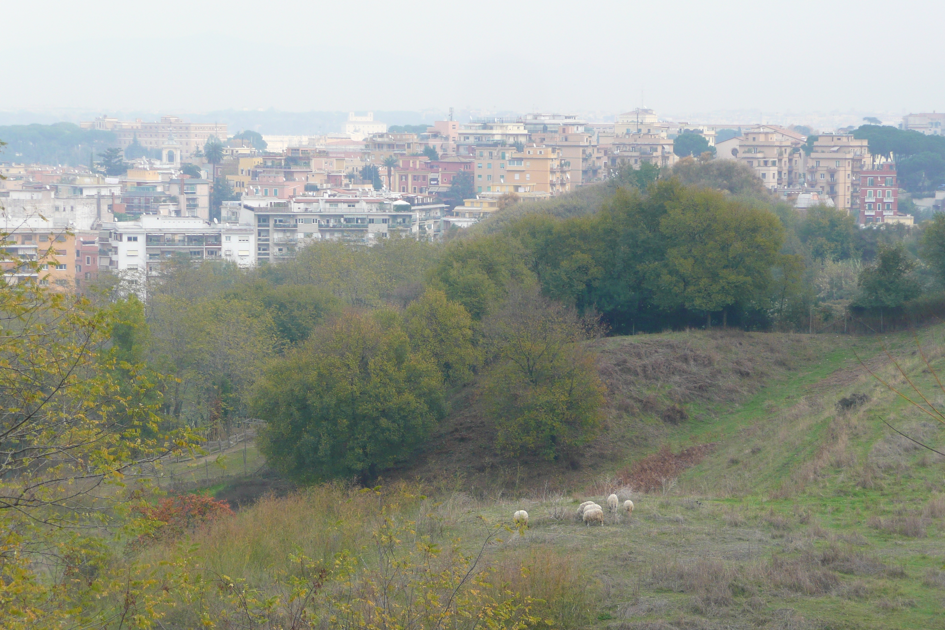 รูปถ่าย อิตาลี(Italy) โรม(Rome) ปงเตฟิเช(Pontefice) 2007-11 40