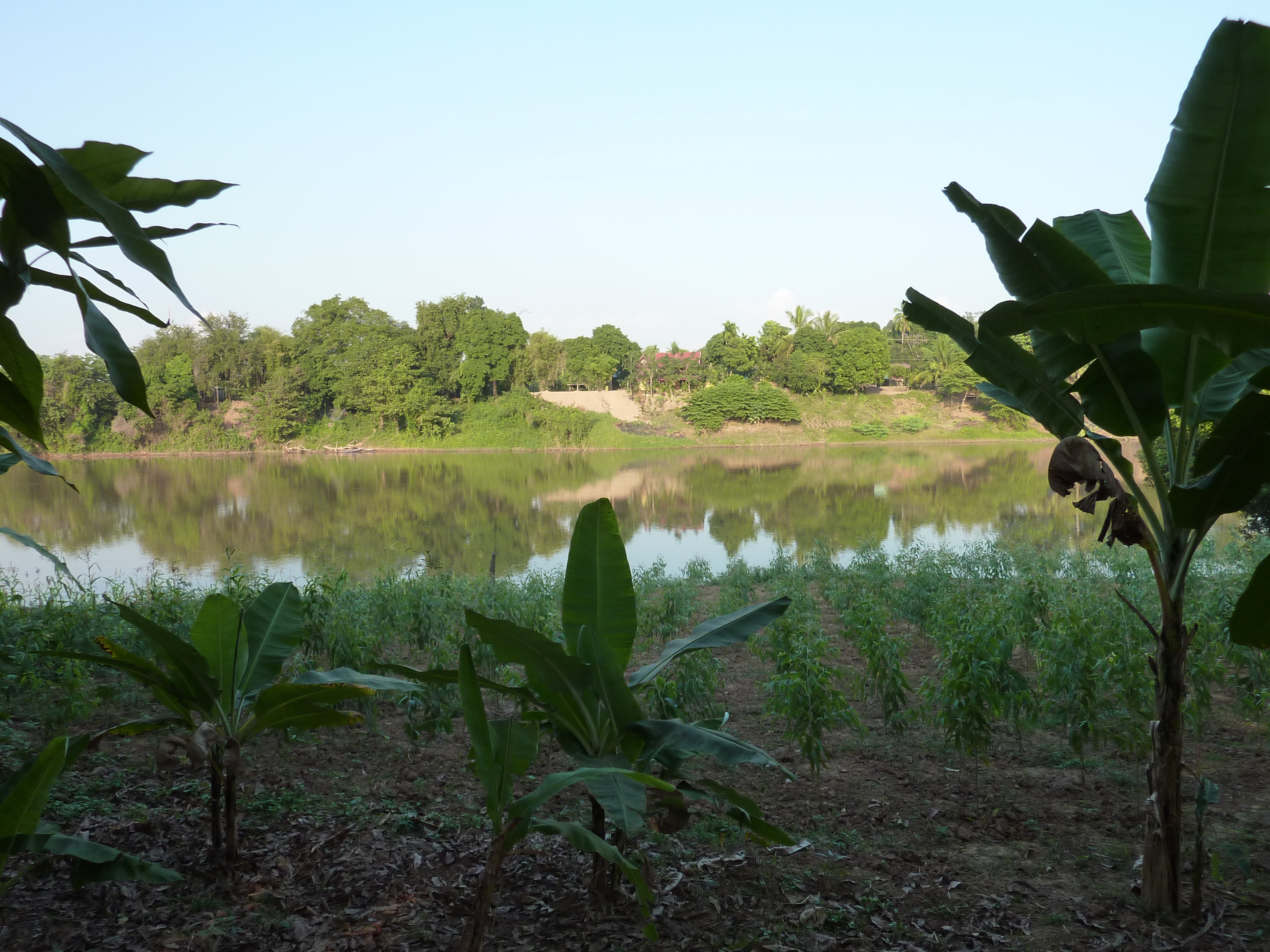 รูปถ่าย ไทย(Thailand) พิษณุโลก(Phitsanulok) จอมทอง(Chom Thong) 2009-12 36