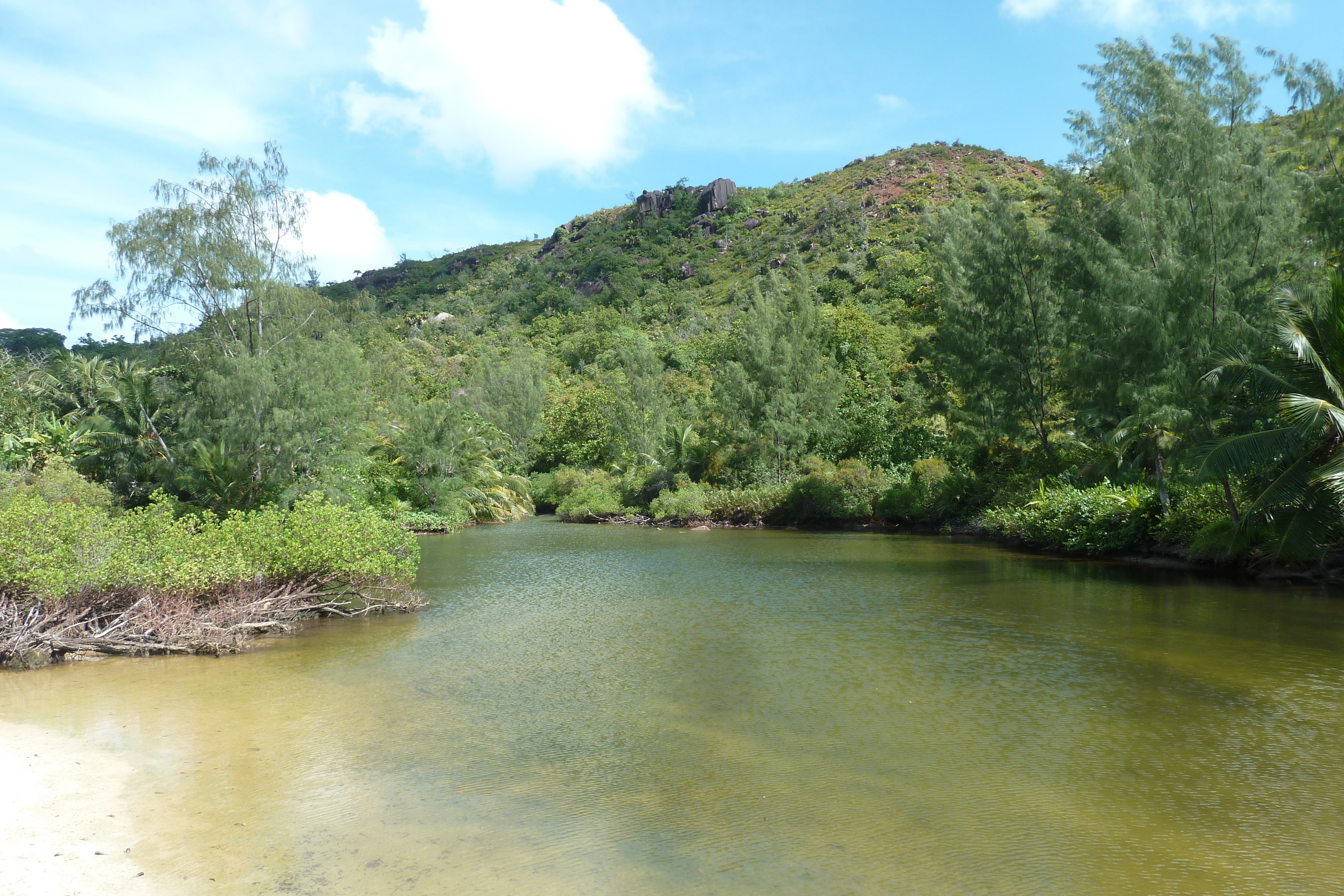 รูปถ่าย เซเชลส์(Seychelles) อ่าวอ็องส์ลาซิโอ(Anse Lazio) 2011-10 44
