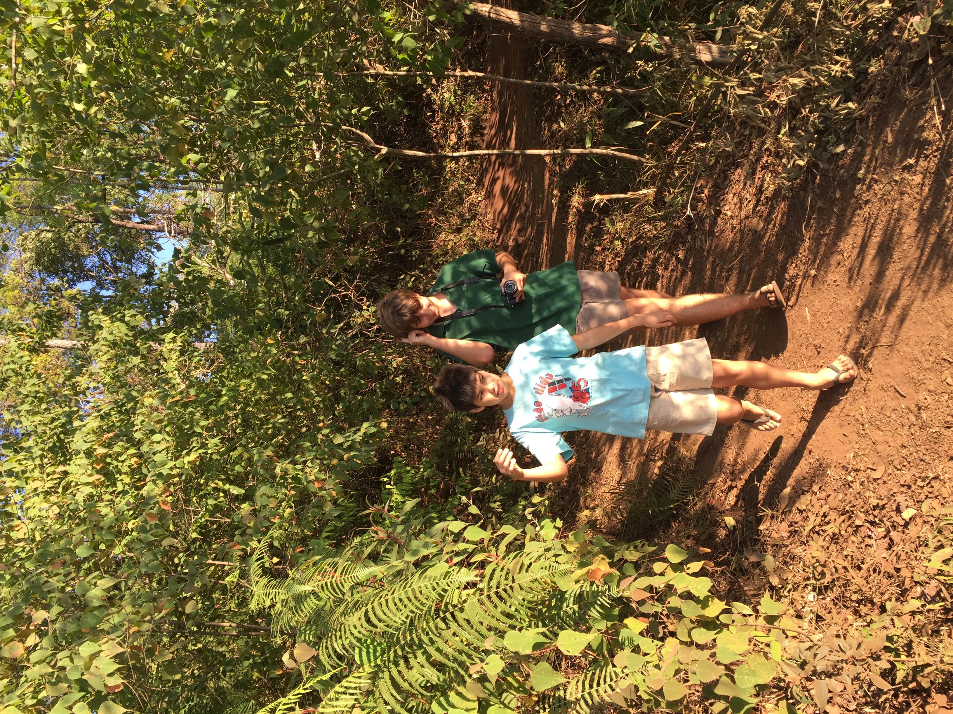 รูปถ่าย ไทย(Thailand) อุทยานแห่งชาติภูหินร่องกล้า(Phu Hin Rong Kla National Park) 2014-12 143