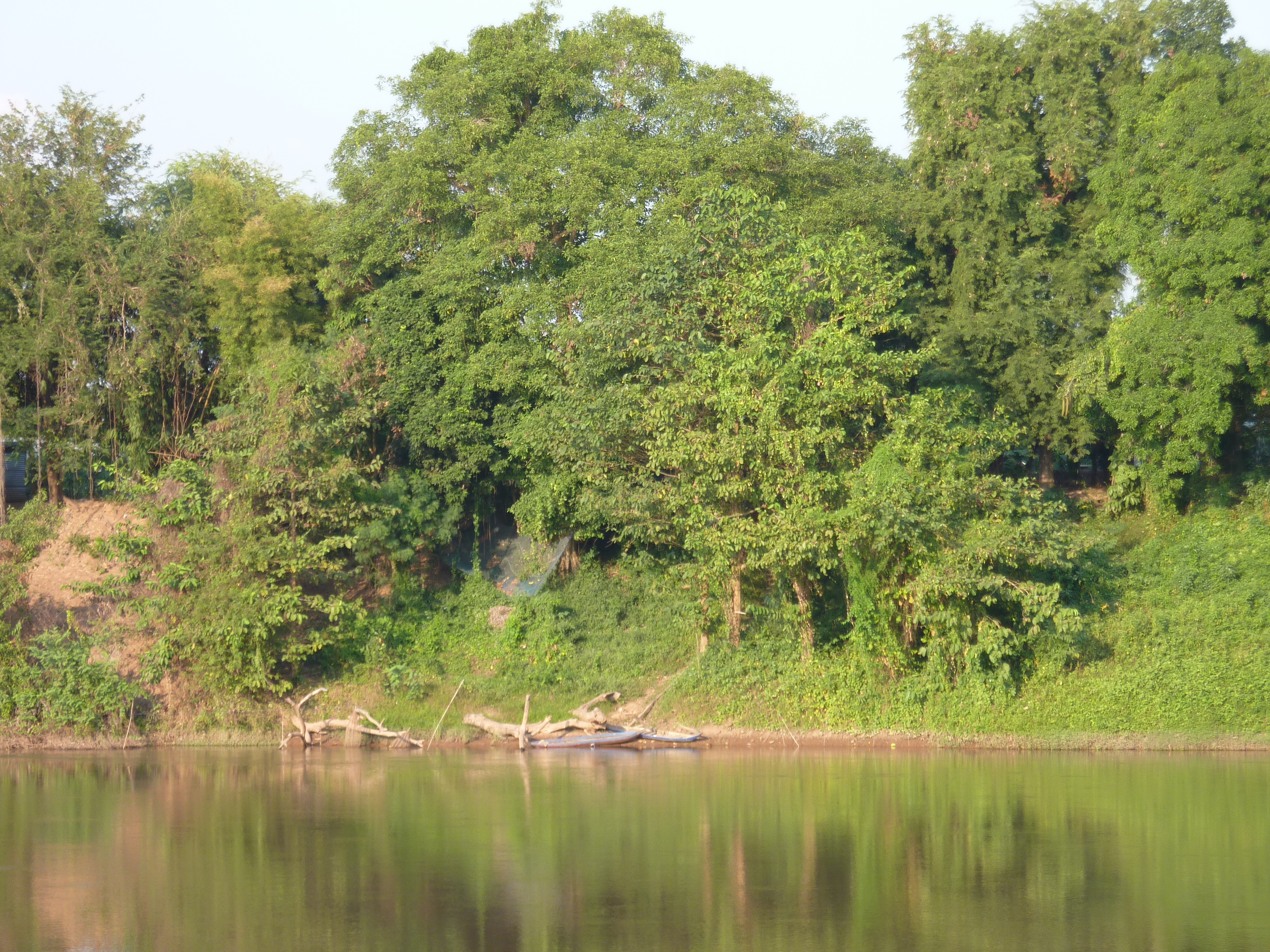 รูปถ่าย ไทย(Thailand) พิษณุโลก(Phitsanulok) จอมทอง(Chom Thong) 2009-12 24
