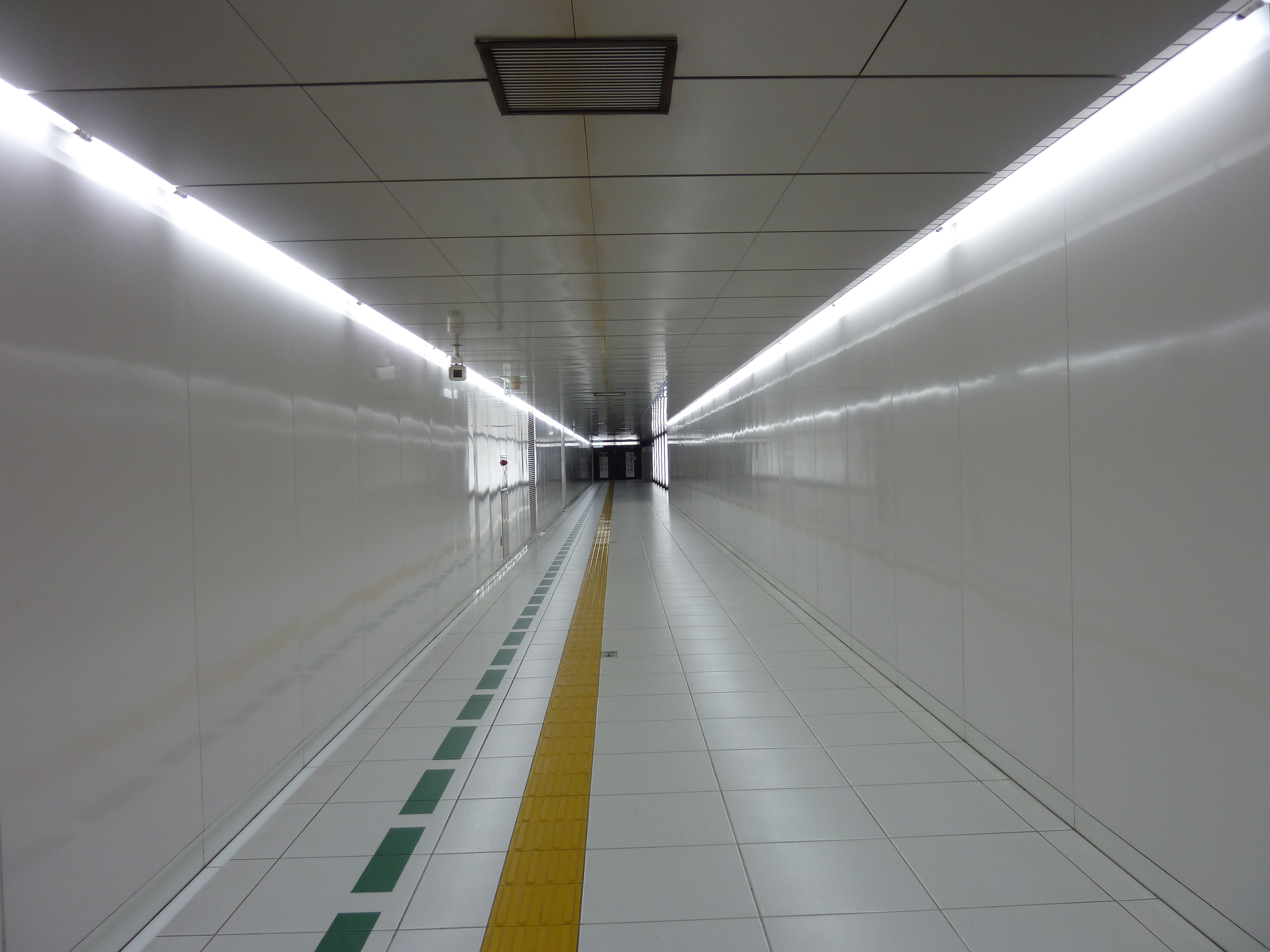รูปถ่าย ญี่ปุ่น(Japan) โตเกียว(Tokyo) ชิโอโดเมะ(Shiodome) 2010-06 28