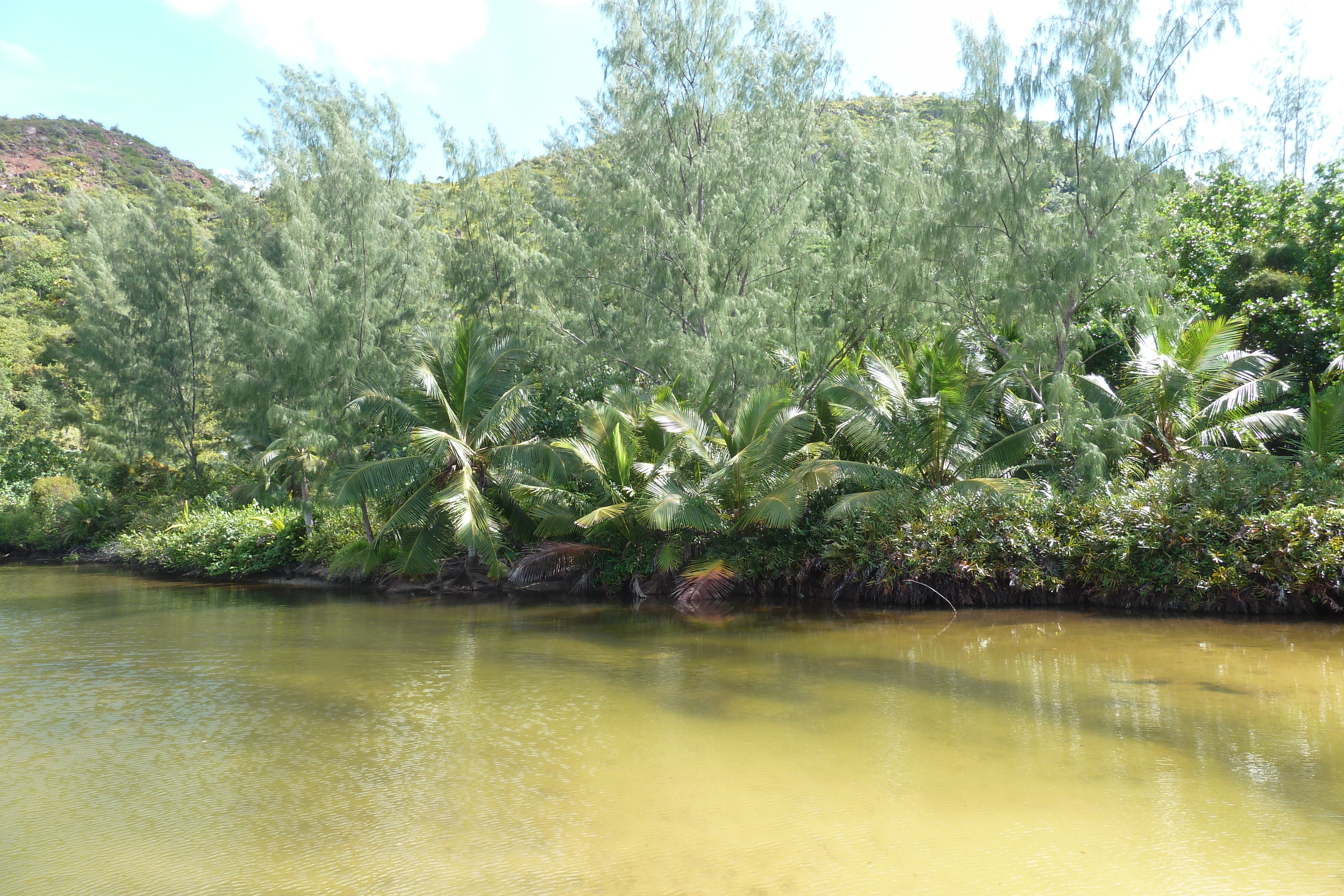 รูปถ่าย เซเชลส์(Seychelles) อ่าวอ็องส์ลาซิโอ(Anse Lazio) 2011-10 52