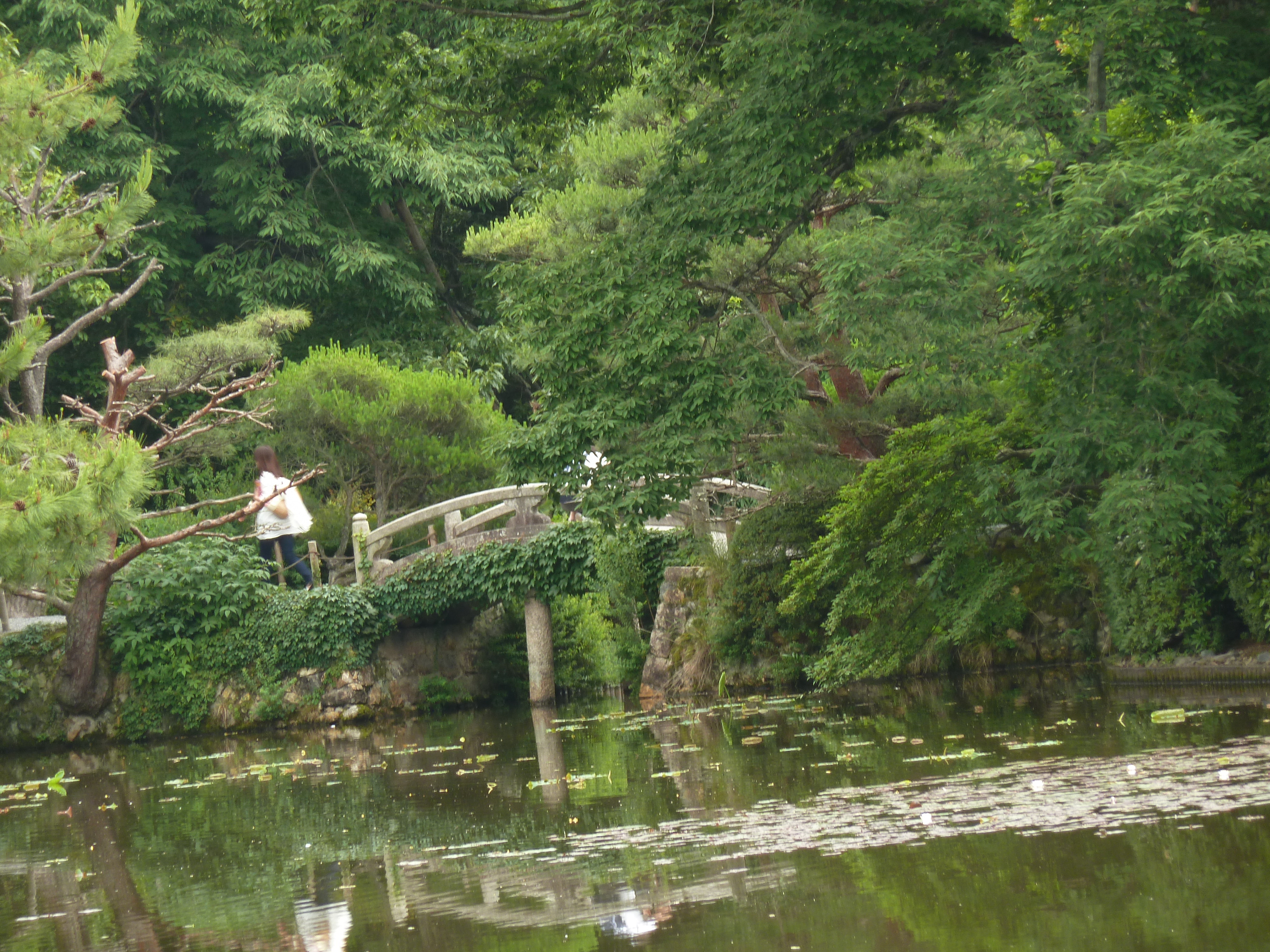 รูปถ่าย ญี่ปุ่น(Japan) เกียวโต(Kyoto) วัดเรียวอันจิ(Ryoanji Temple) 2010-06 74