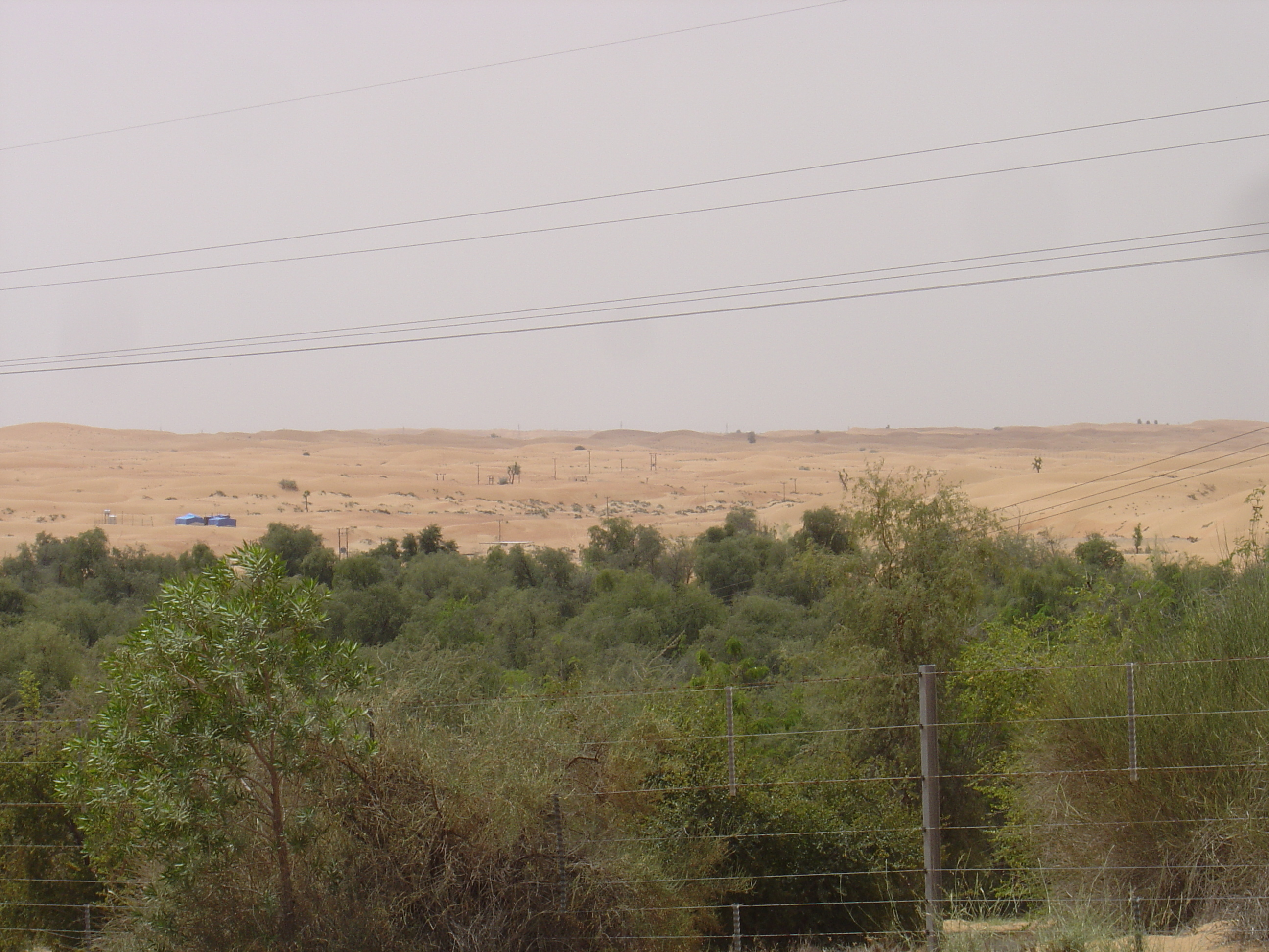 รูปถ่าย สหรัฐอาหรับเอมิเรตส์(United Arab Emirates) จากดูไบไปถนนอัลอิน(Dubai to Al Ain road) 2005-03 16