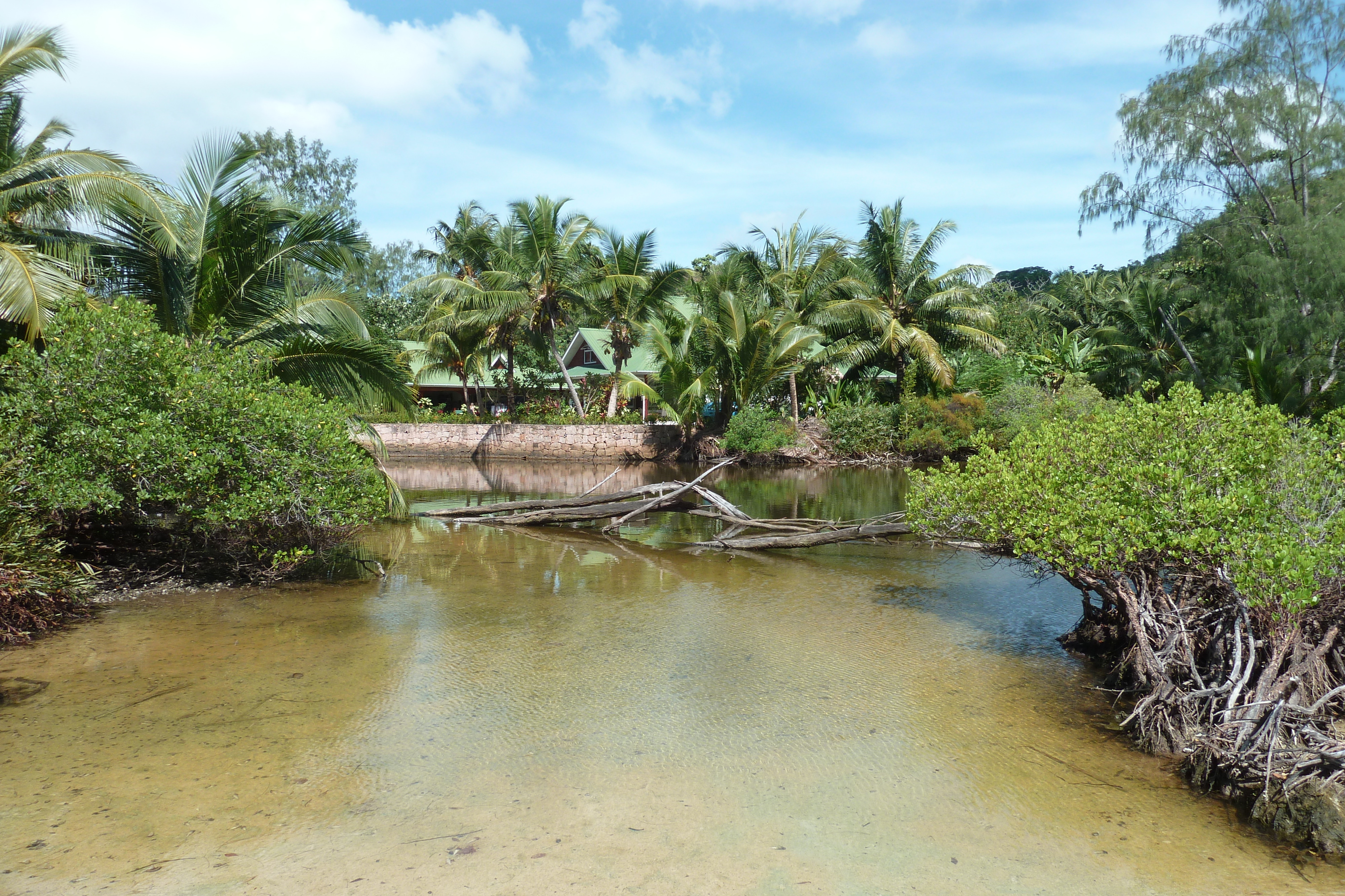 รูปถ่าย เซเชลส์(Seychelles) อ่าวอ็องส์ลาซิโอ(Anse Lazio) 2011-10 31