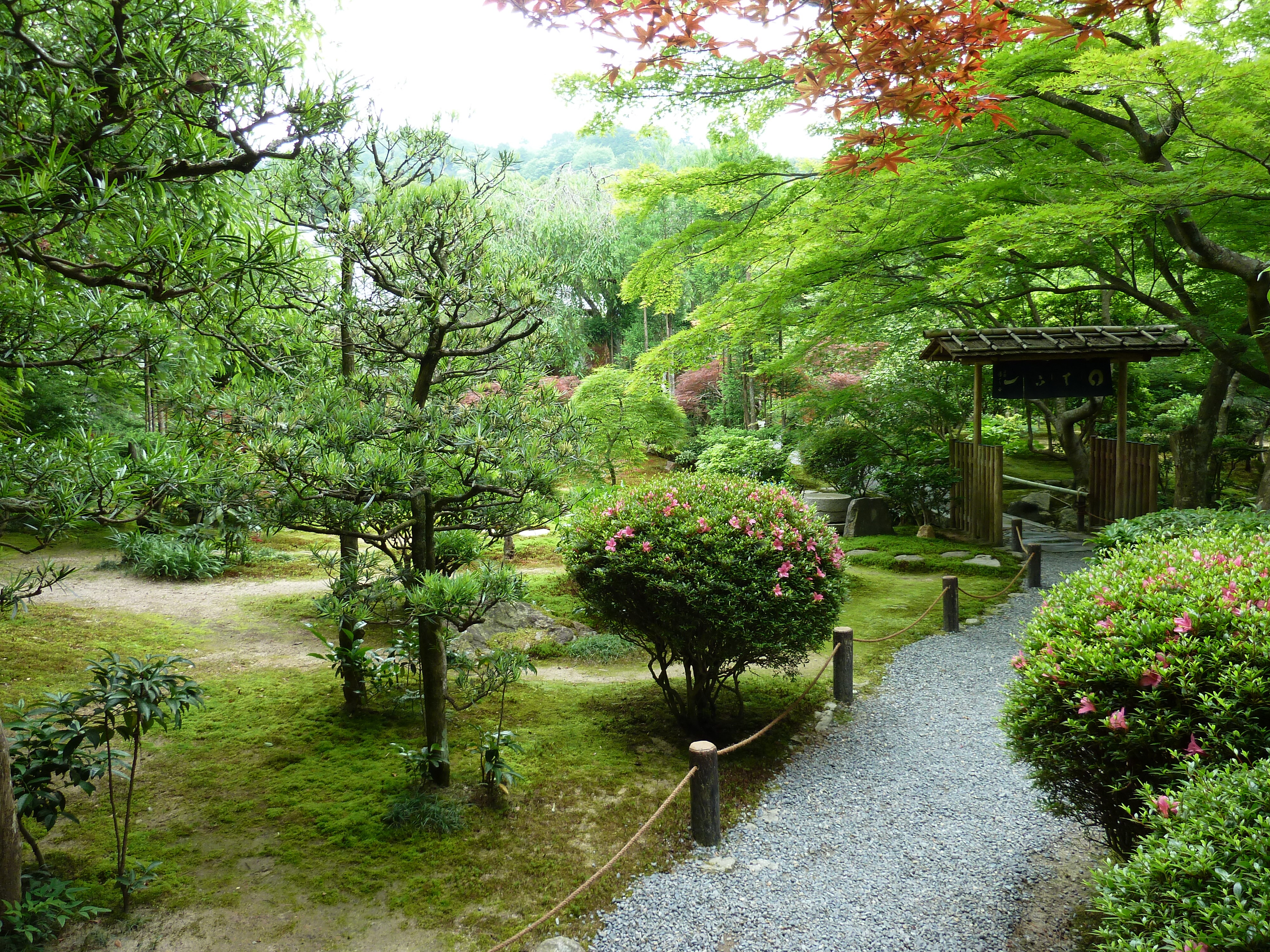 รูปถ่าย ญี่ปุ่น(Japan) เกียวโต(Kyoto) วัดเรียวอันจิ(Ryoanji Temple) 2010-06 32
