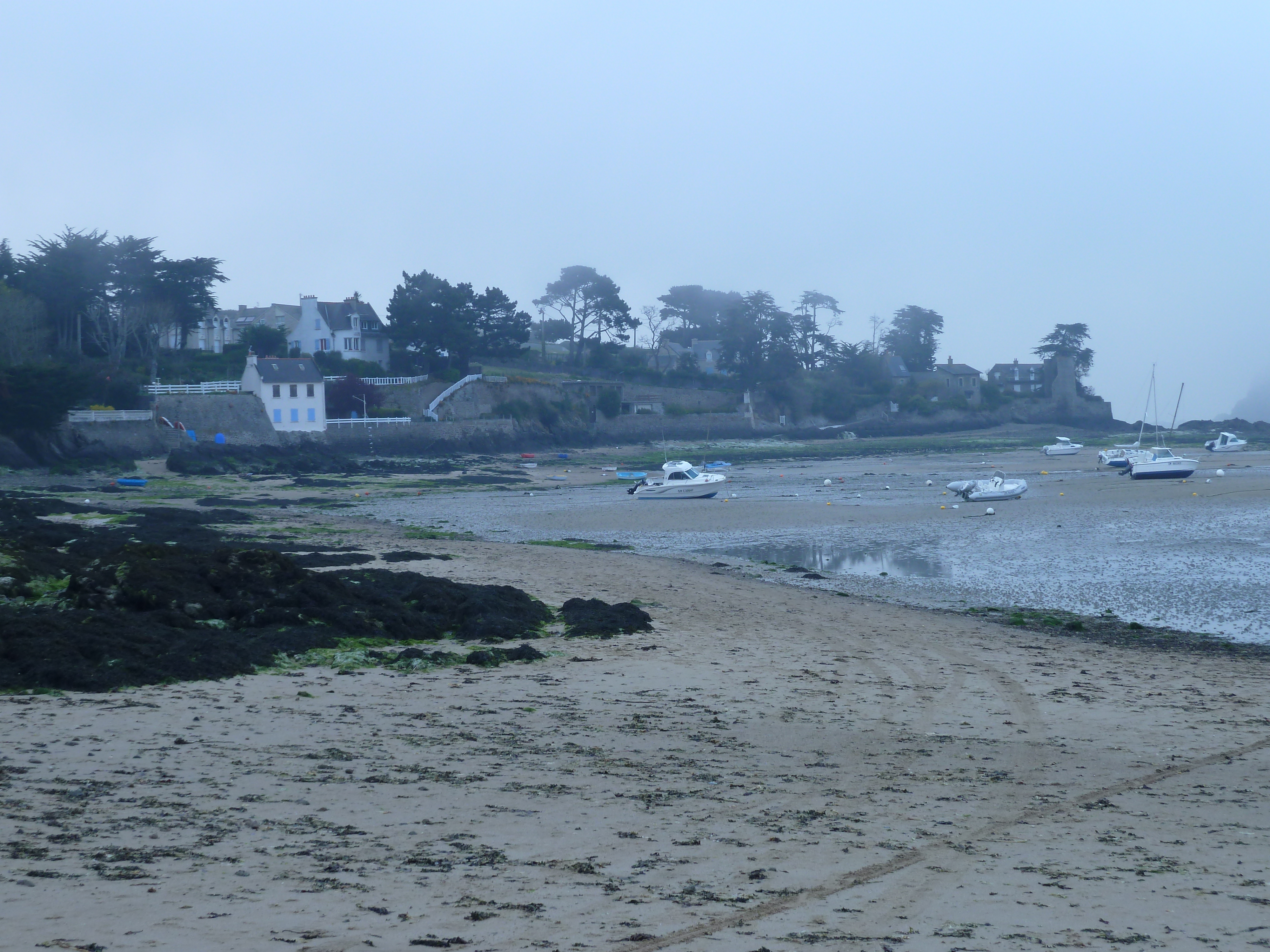 รูปถ่าย ฝรั่งเศส(France) โรตเนิฟ(Rotheneuf) 2010-04 82