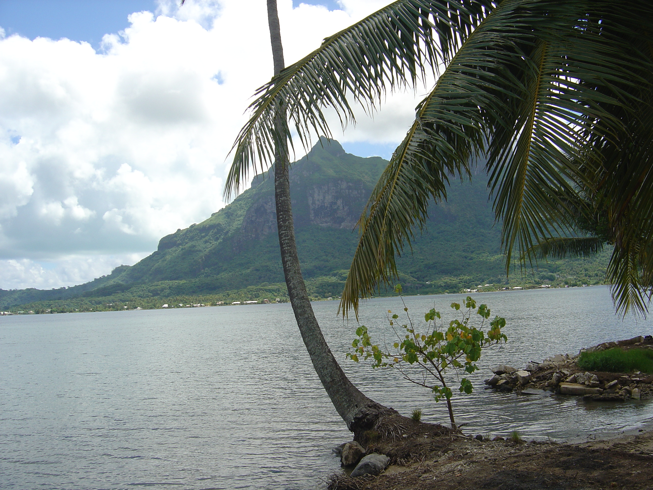 รูปถ่าย เฟรนช์โพลี่นีเซีย(Polynesia) โบราโบรา(Bora Bora) 2006-04 17