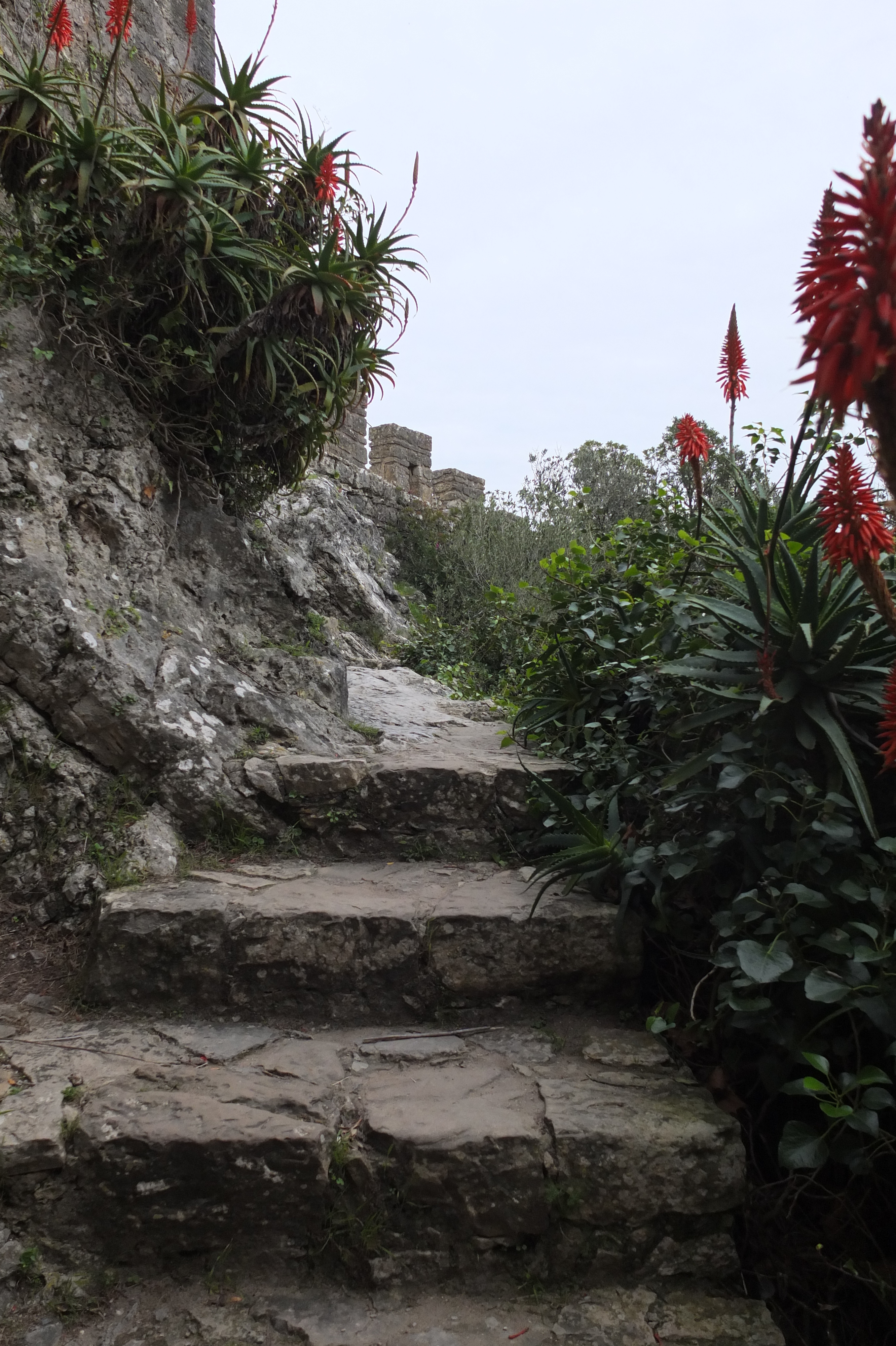 รูปถ่าย โปรตุเกส(Portugal) โอบีโดส(Obidos) 2013-01 19