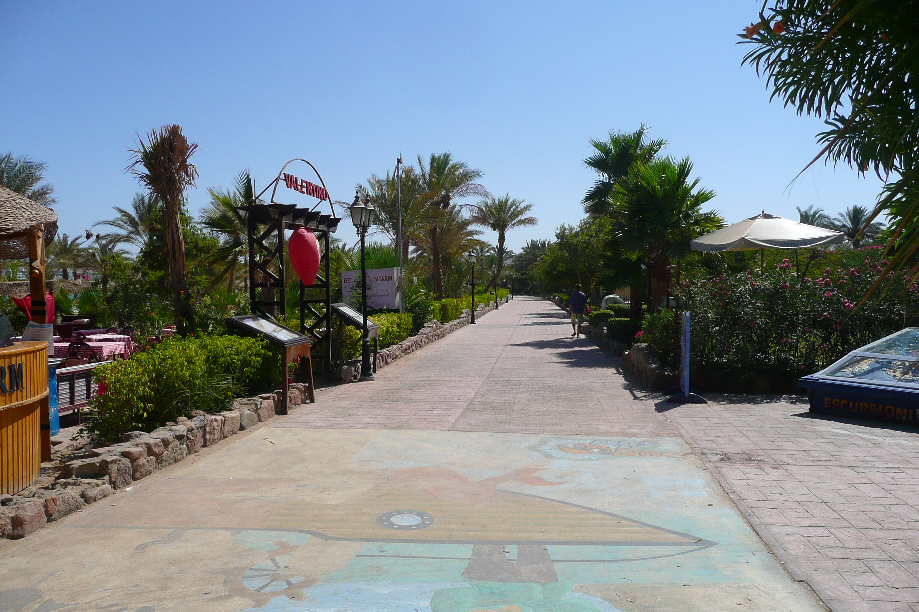 รูปถ่าย อียิปต์(Egypt) ชาร์มเอลชีค(Sharm el Sheikh) 2008-06 86