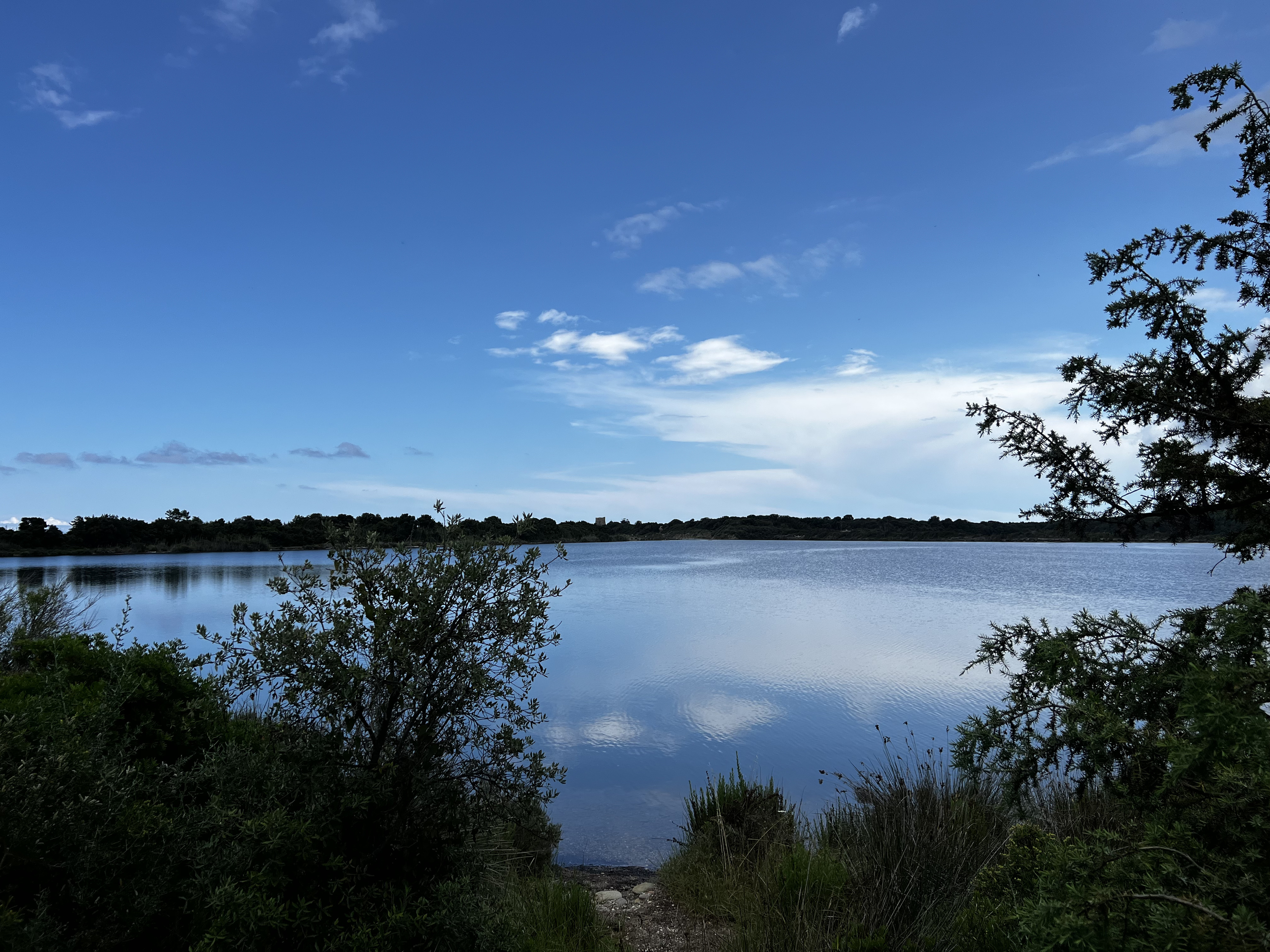 รูปถ่าย ฝรั่งเศส(France) คอร์สิคา(Corsica) บึงดียาน(Etang de Diane) 2023-06 4