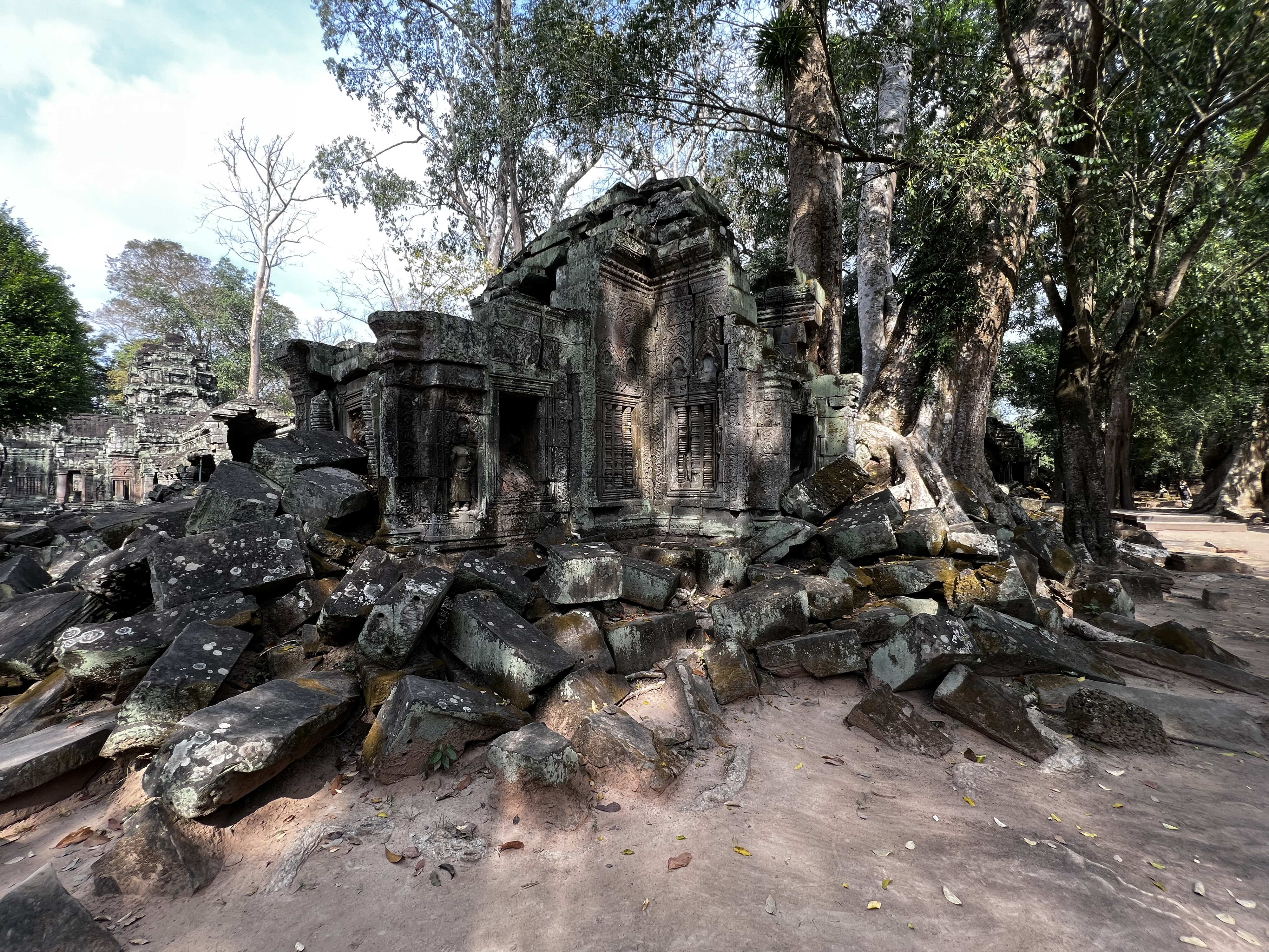 รูปถ่าย กัมพูชา(Cambodia) เสียมราฐ(Siem Reap) ปราสาทตาพรหม(Ta Prohm) 2023-01 50