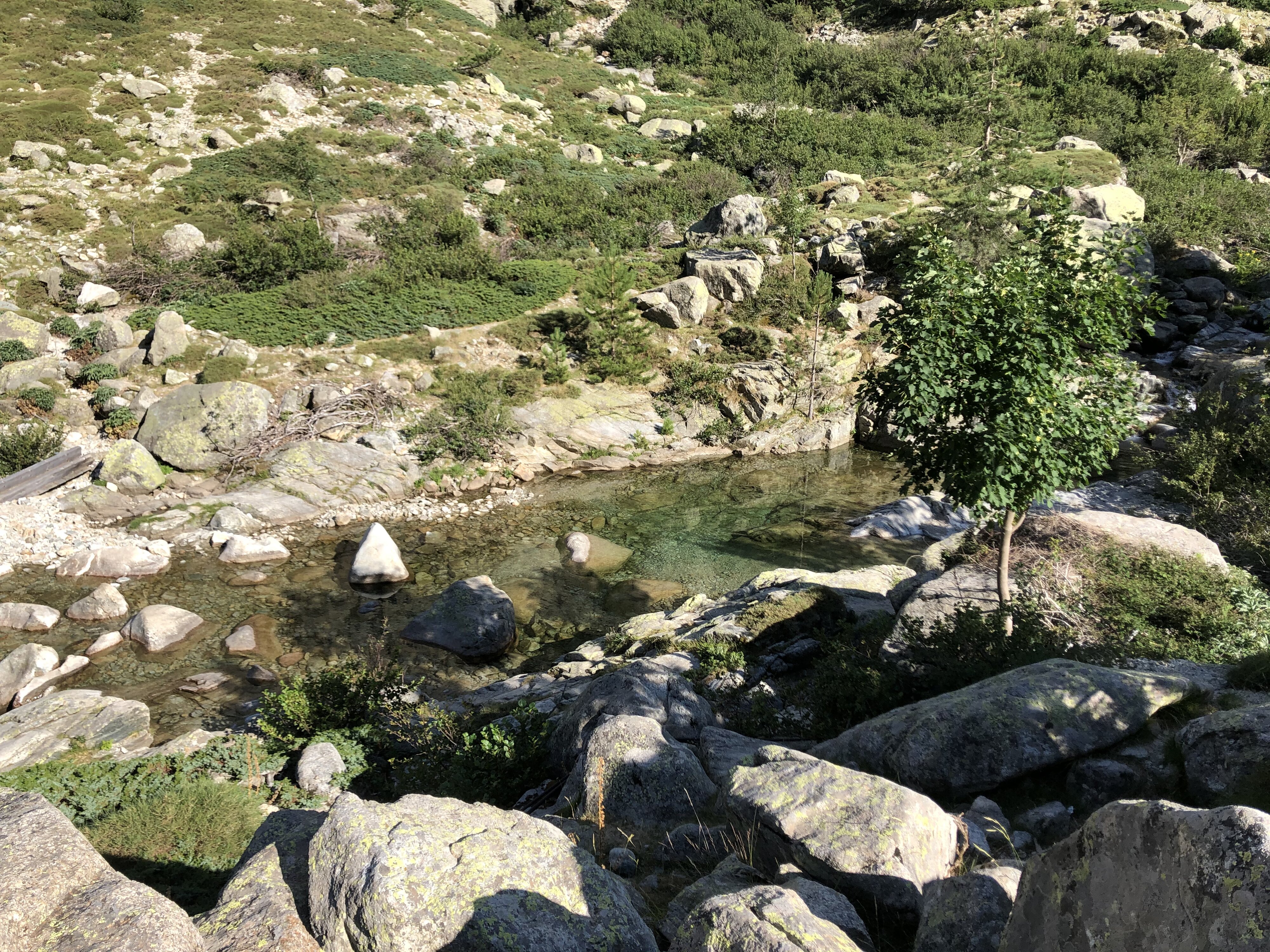รูปถ่าย ฝรั่งเศส(France) คอร์สิคา(Corsica) หุบเขาลาเรสโตนีกา(La Restonica) 2020-07 94