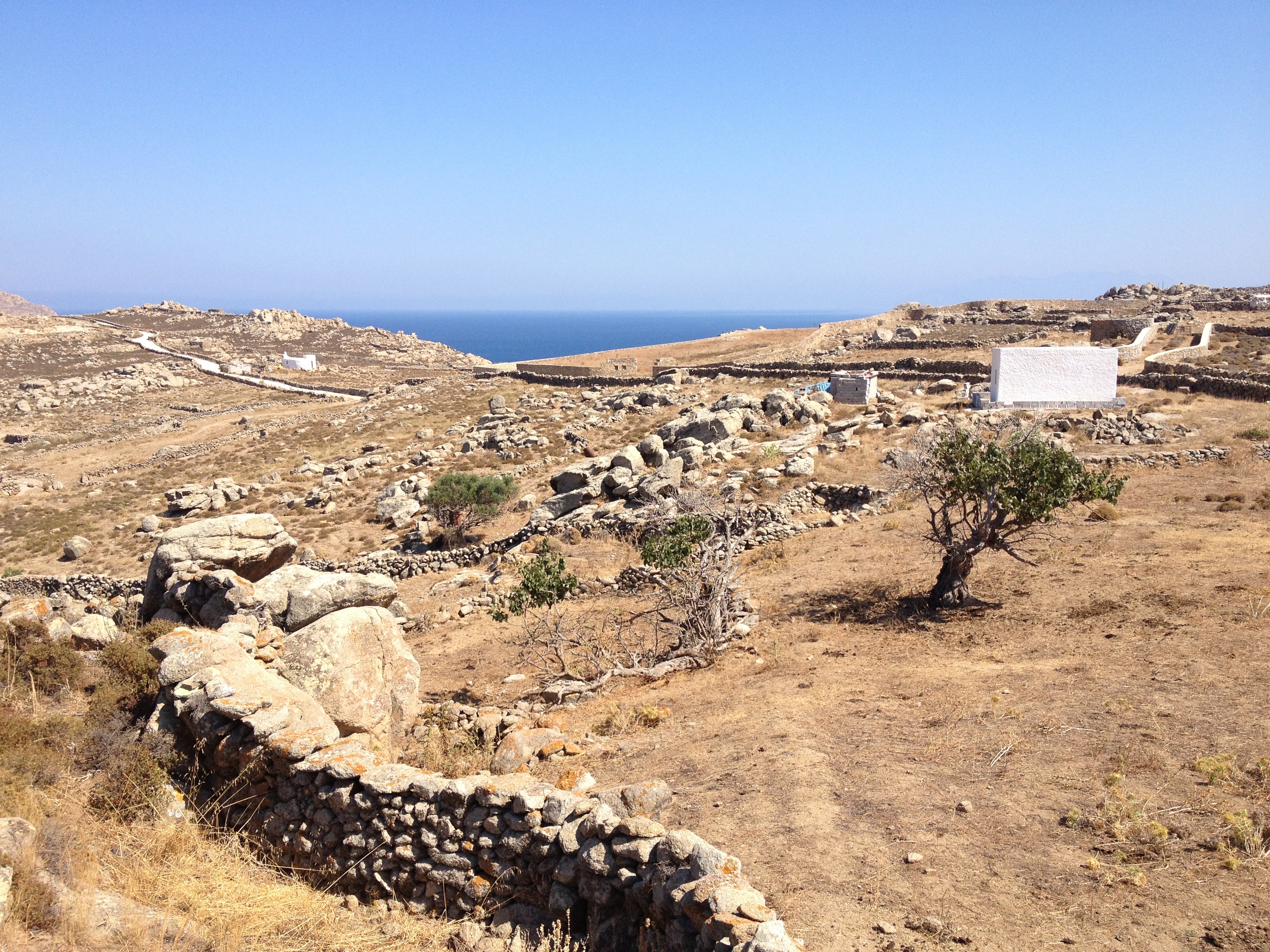 รูปถ่าย กรีก(Greece) เกาะมิโคนอส(Mykonos) 2014-07 25