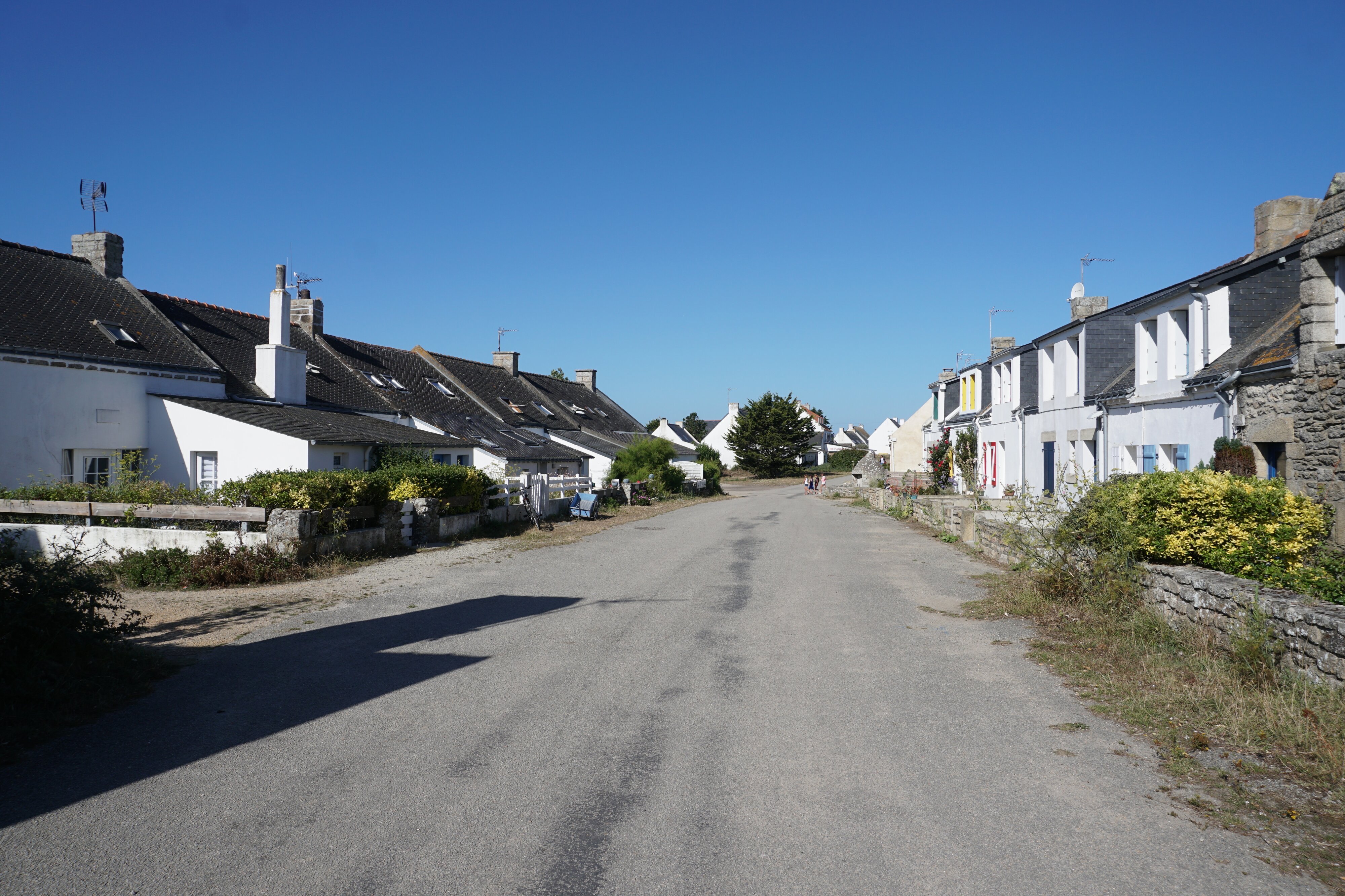 รูปถ่าย ฝรั่งเศส(France) เกาะเอดิก(Hoedic) 2016-08 76