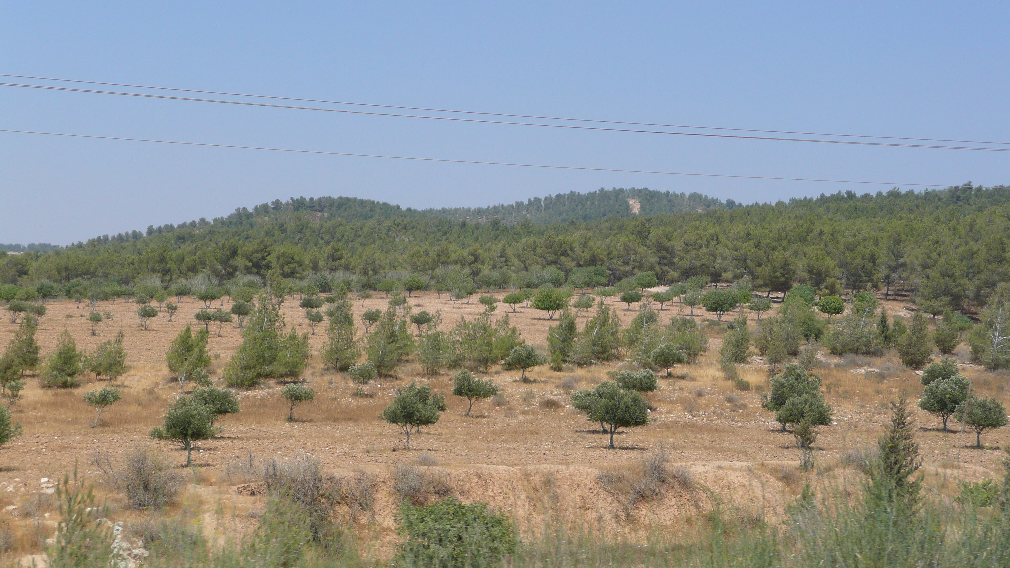 รูปถ่าย อิสราเอล(Israel) ถนนจากอัชเคลอนไปอาราด(Ashkelon to Arad road) 2007-06 142