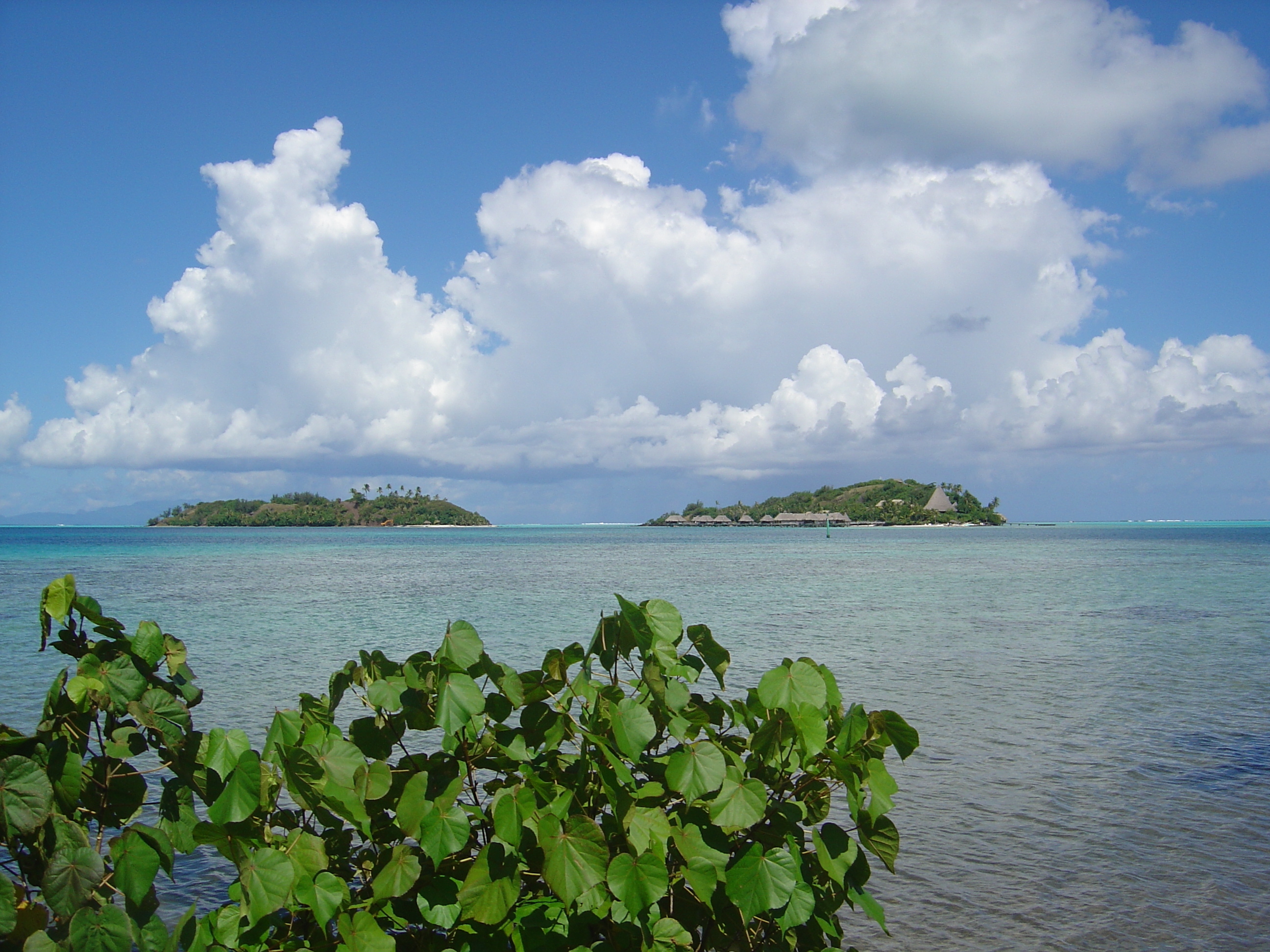 รูปถ่าย เฟรนช์โพลี่นีเซีย(Polynesia) โบราโบรา(Bora Bora) 2006-04 119