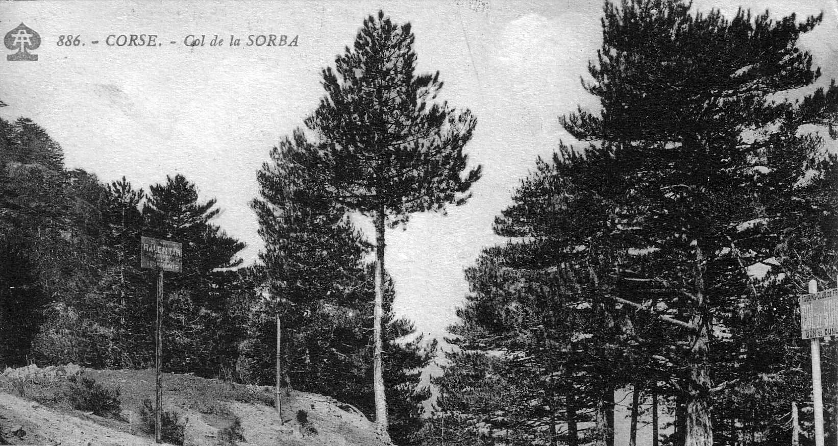รูปถ่าย ฝรั่งเศส(France) คอร์สิคา(Corsica) โปสการ์ดเก่า(Old Postcards) 1900-01 232