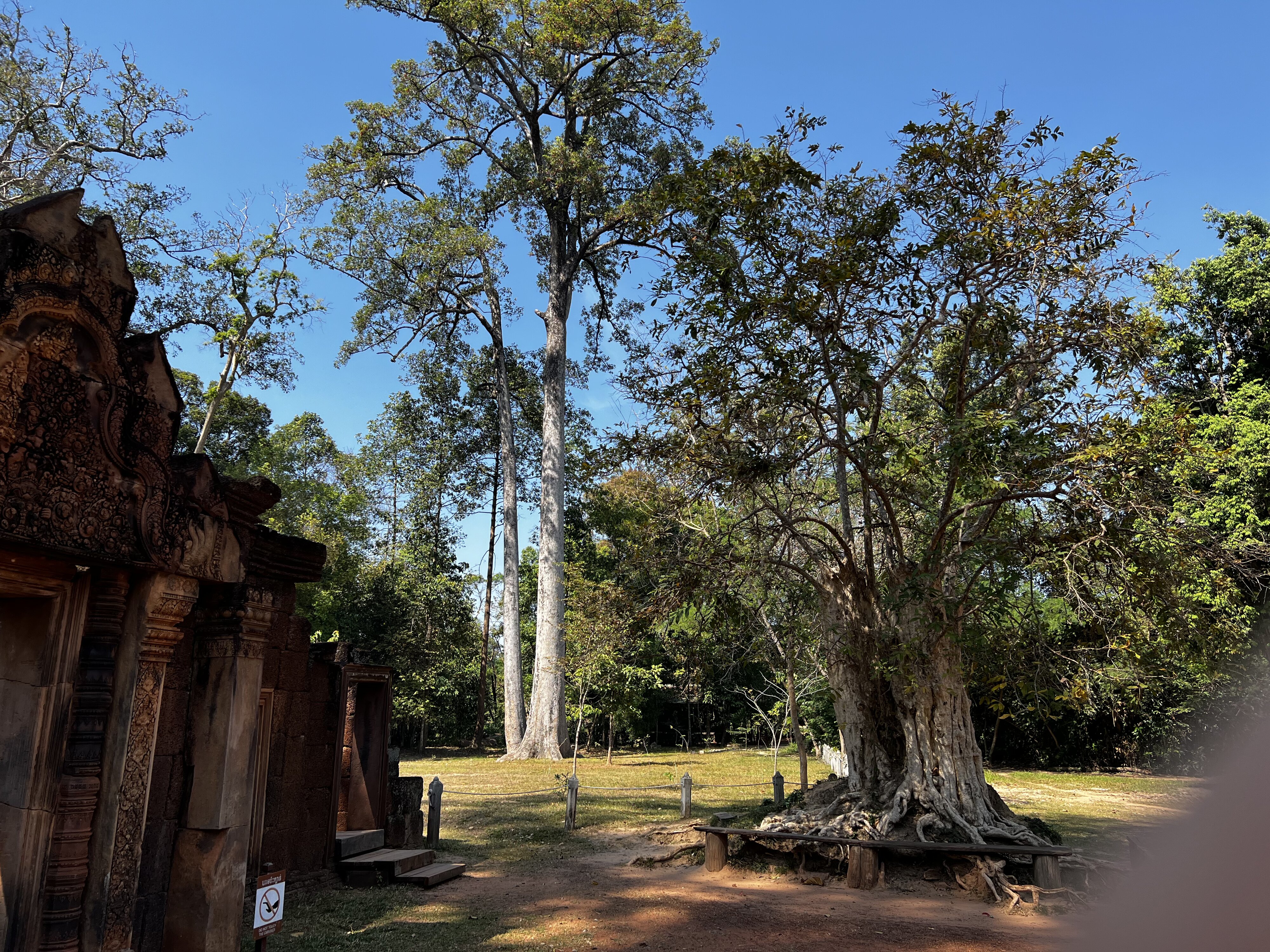 รูปถ่าย กัมพูชา(Cambodia) เสียมราฐ(Siem Reap) ปราสาทบันทายศรี(Banteay Srei) 2023-01 49