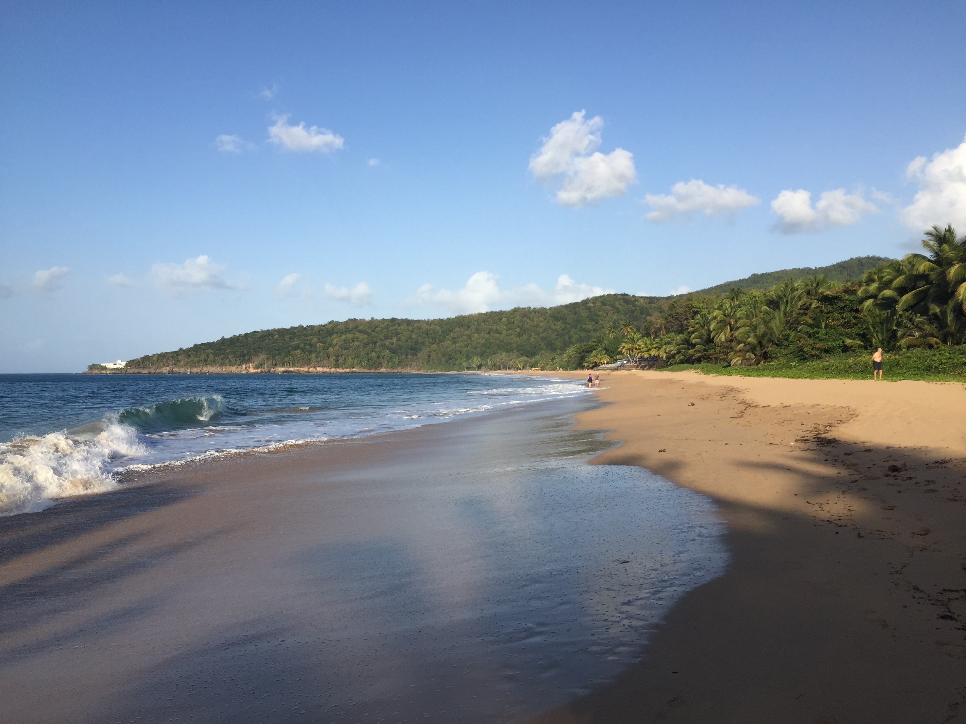 รูปถ่าย กวาเดอลูป(Guadeloupe) หาดลาแปร์ล(La Perle Beach) 2021-02 100