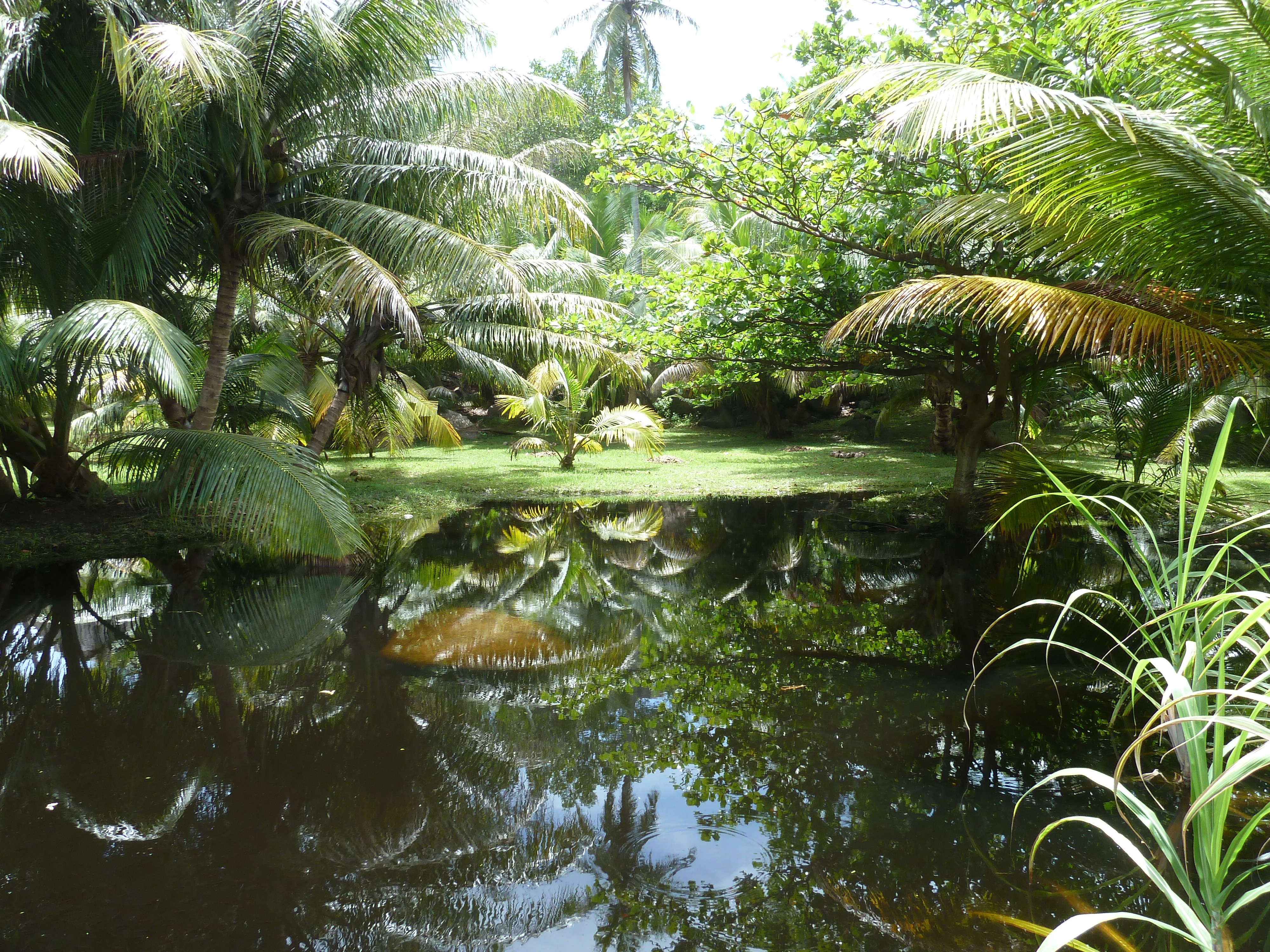 รูปถ่าย เซเชลส์(Seychelles) เกาะกร็องด์เซอร์(Grande Soeur) 2011-10 20