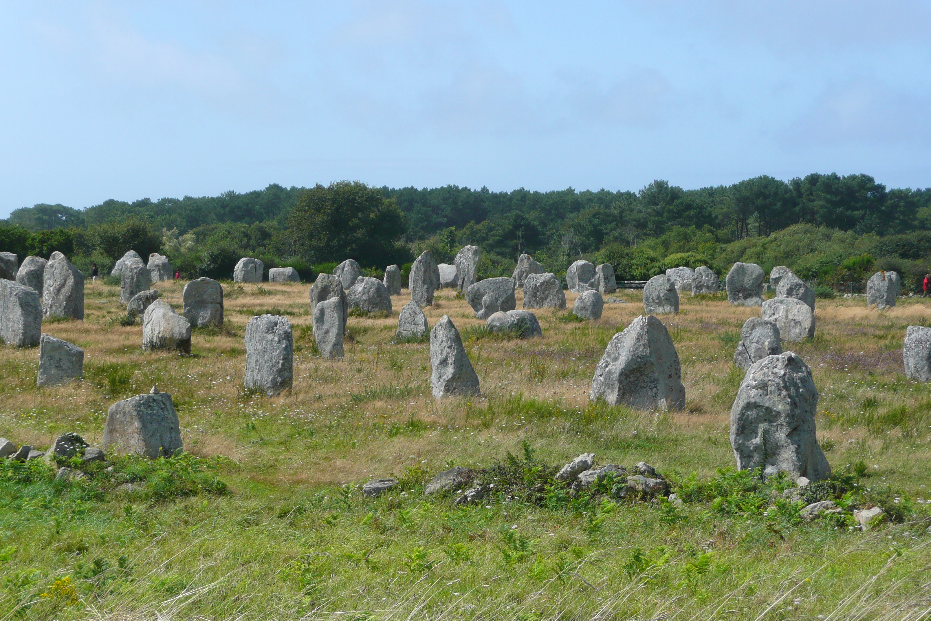 รูปถ่าย ฝรั่งเศส(France) การ์นัก(Carnac) 2008-07 13