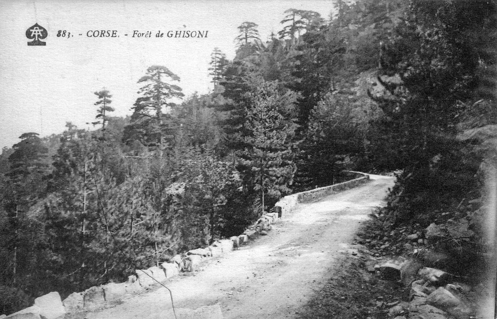 รูปถ่าย ฝรั่งเศส(France) คอร์สิคา(Corsica) โปสการ์ดเก่า(Old Postcards) 1900-01 241