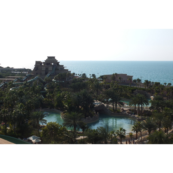 รูปถ่าย สหรัฐอาหรับเอมิเรตส์(United Arab Emirates) ดูไบ(Dubai) โรงแรมแอตแลนติส(Atlantis Hotel) 2014-02 241
