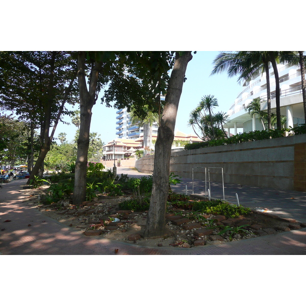 รูปถ่าย ไทย(Thailand) จอมเทียน(Jomtien) โกลเดนฮอร์น(Golden Horn) 2009-01 8