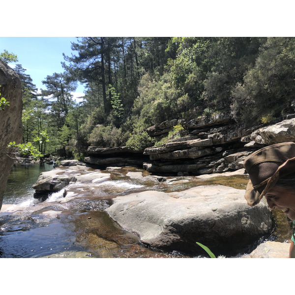 รูปถ่าย ฝรั่งเศส(France) คอร์สิคา(Corsica) ป่าไอโตเน(Aitone Forest) 2021-06 30