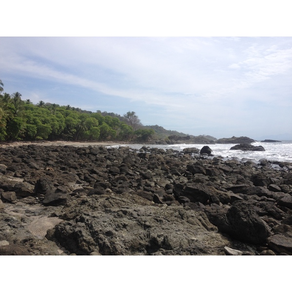 รูปถ่าย คอสตาริกา(Costa Rica) มอนเตซูมา(Montezuma) 2015-03 355