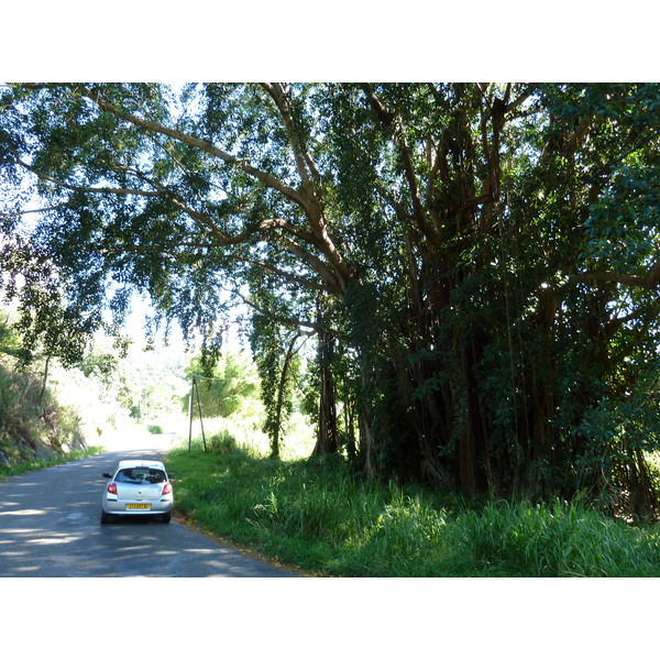 รูปถ่าย นิวแคลิโดเนีย(New Caledonia) ถนนจากกานาลาไปลาฟัว(Canala to La Foa road) 2010-05 65