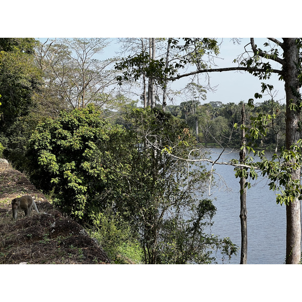 รูปถ่าย กัมพูชา(Cambodia) เสียมราฐ(Siem Reap) นครธม(Angkor Thom) 2023-01 12